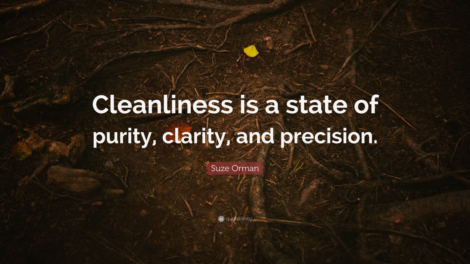 Suze Orman Quote Cleanliness Is A State Of Purity Clarity And