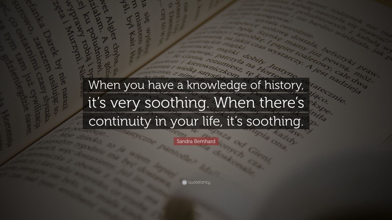 Sandra Bernhard Quote When You Have A Knowledge Of History Its Very