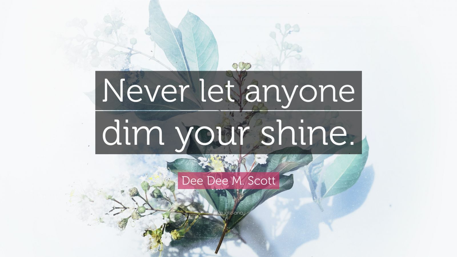 Dee Dee M Scott Quote Never Let Anyone Dim Your Shine