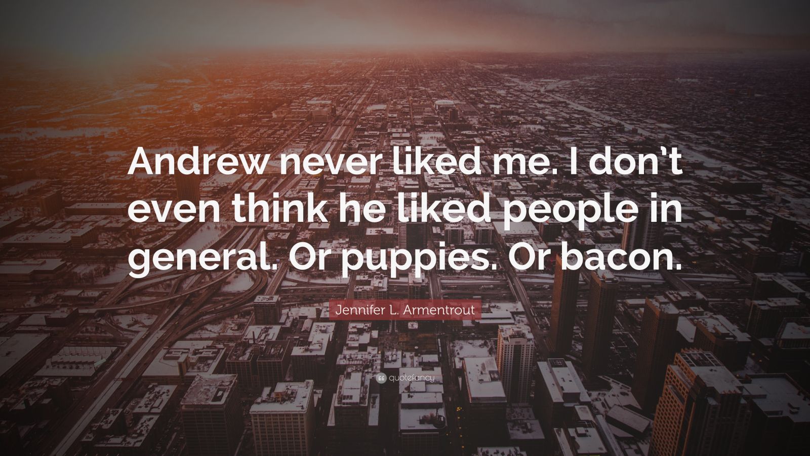 Jennifer L Armentrout Quote Andrew Never Liked Me I Dont Even