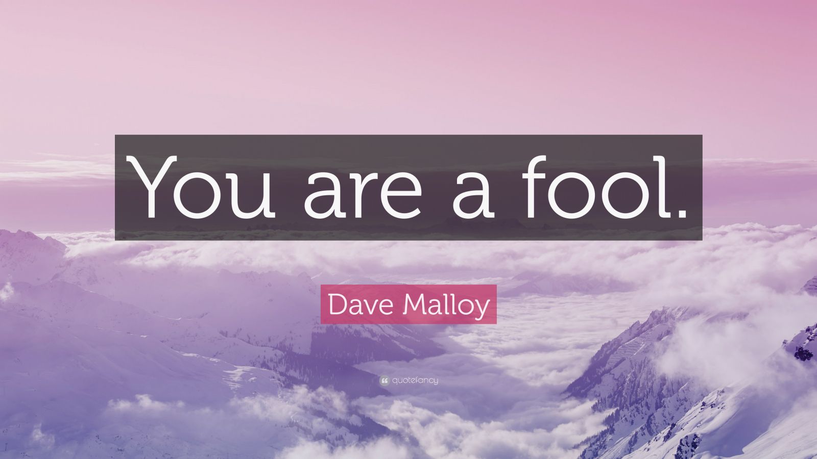 Dave Malloy Quote You Are A Fool