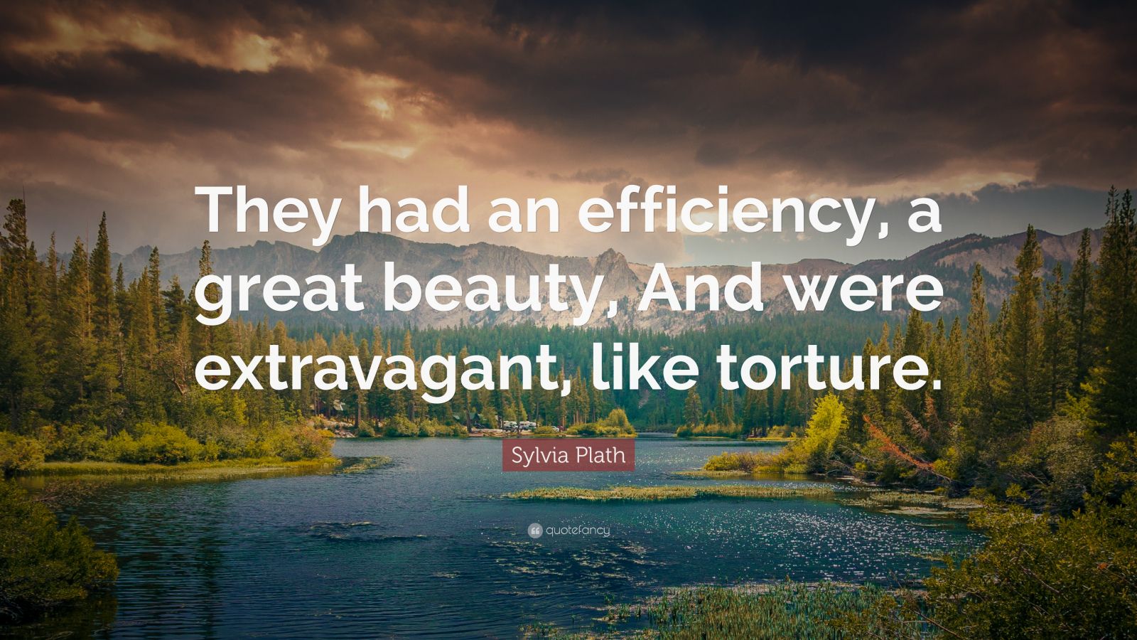 Sylvia Plath Quote They Had An Efficiency A Great Beauty And Were