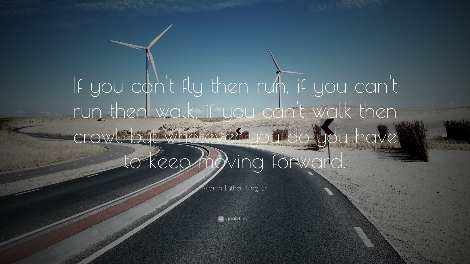 Martin Luther King Jr. Quote: “If you can't fly then run, if you can't