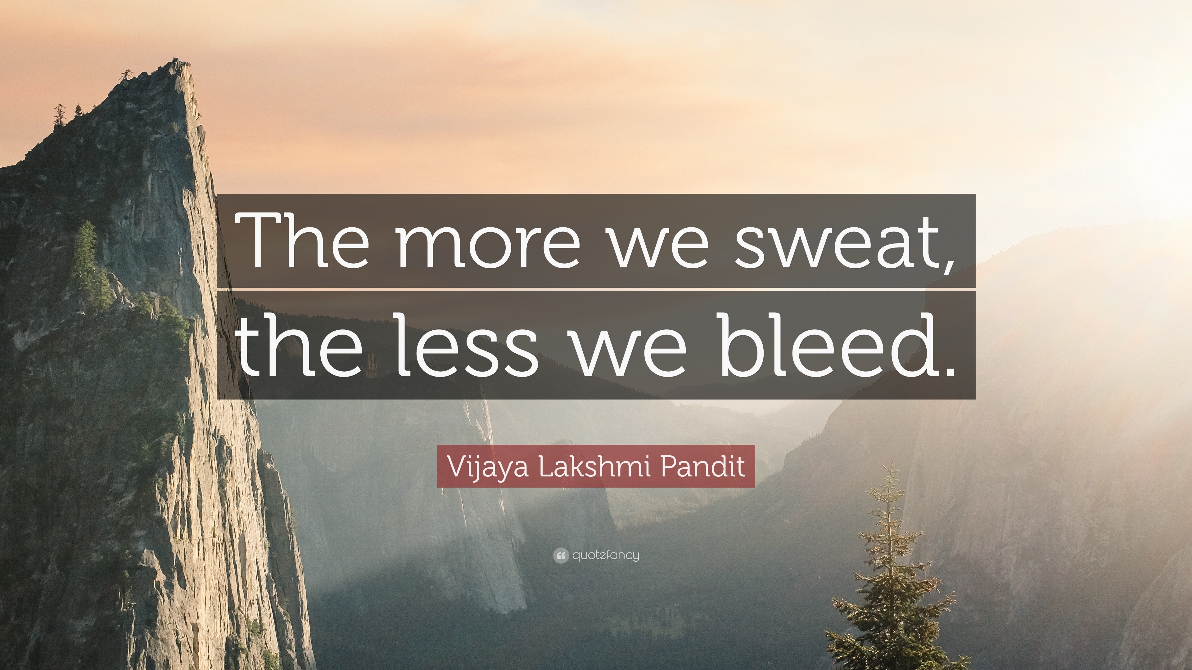 Vijaya Lakshmi Pandit Quote The More We Sweat The Less We Bleed