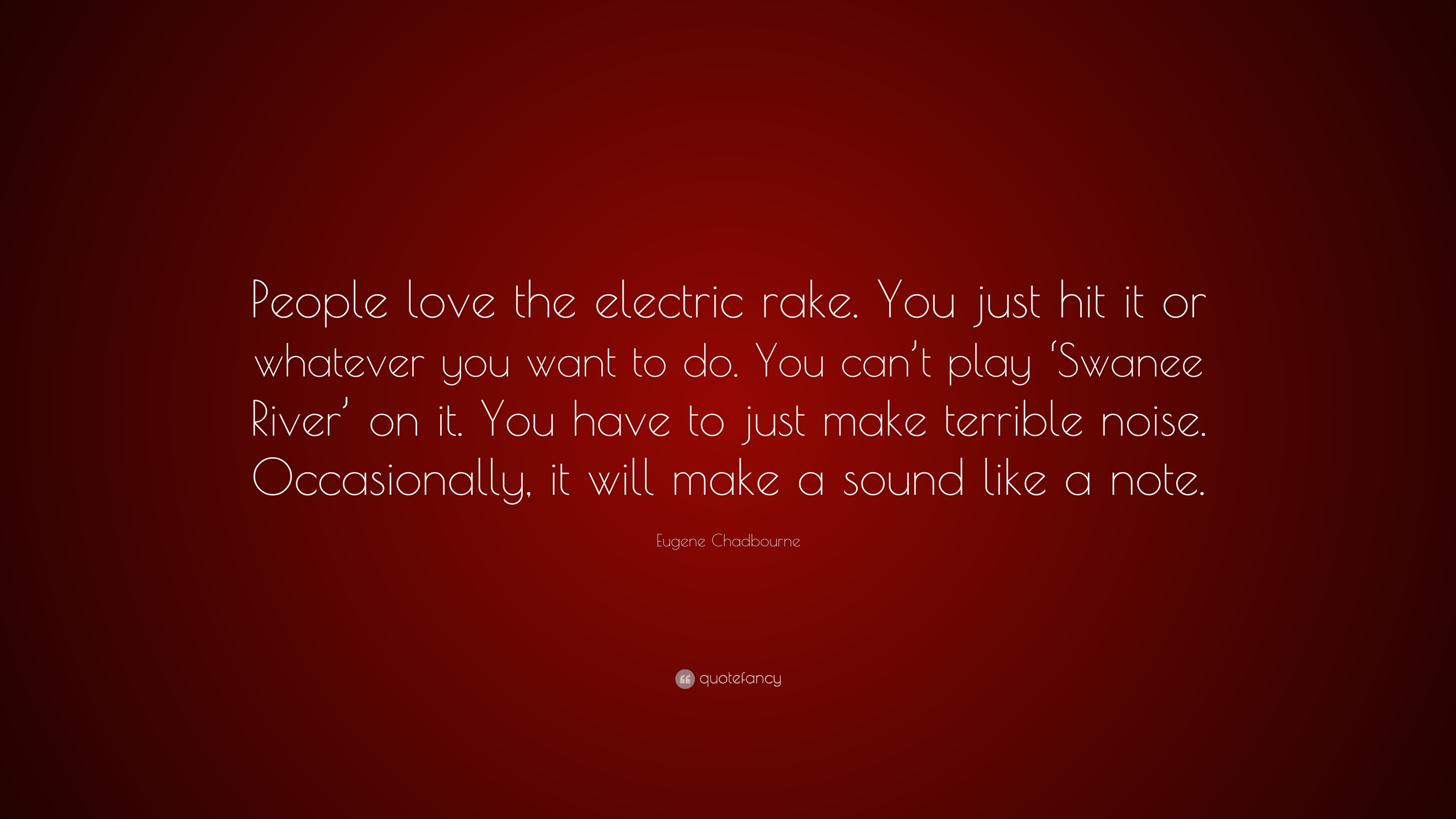 Eugene Chadbourne Quote People Love The Electric Rake You Just Hit