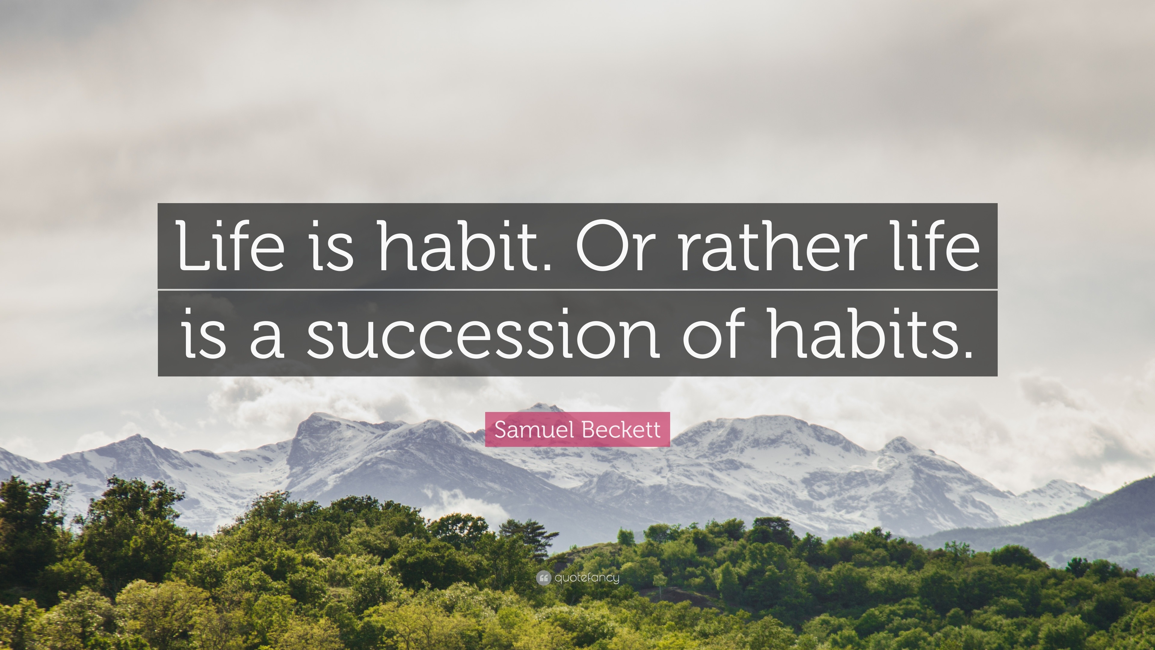 Samuel Beckett Quote Life Is Habit Or Rather Life Is A Succession Of