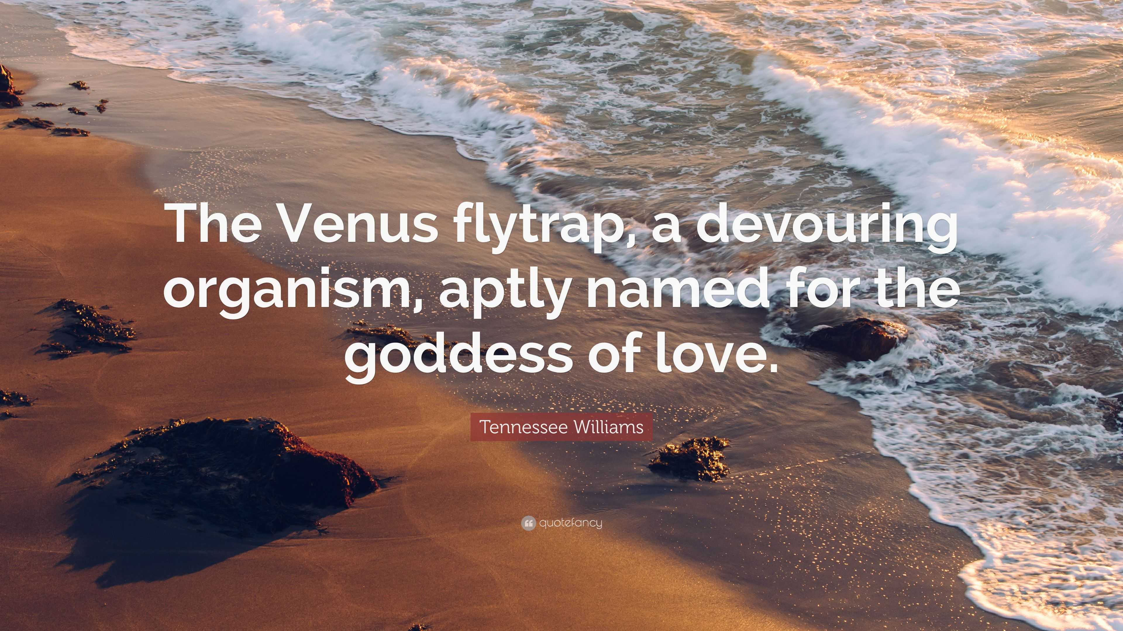 Tennessee Williams Quote The Venus Flytrap A Devouring Organism