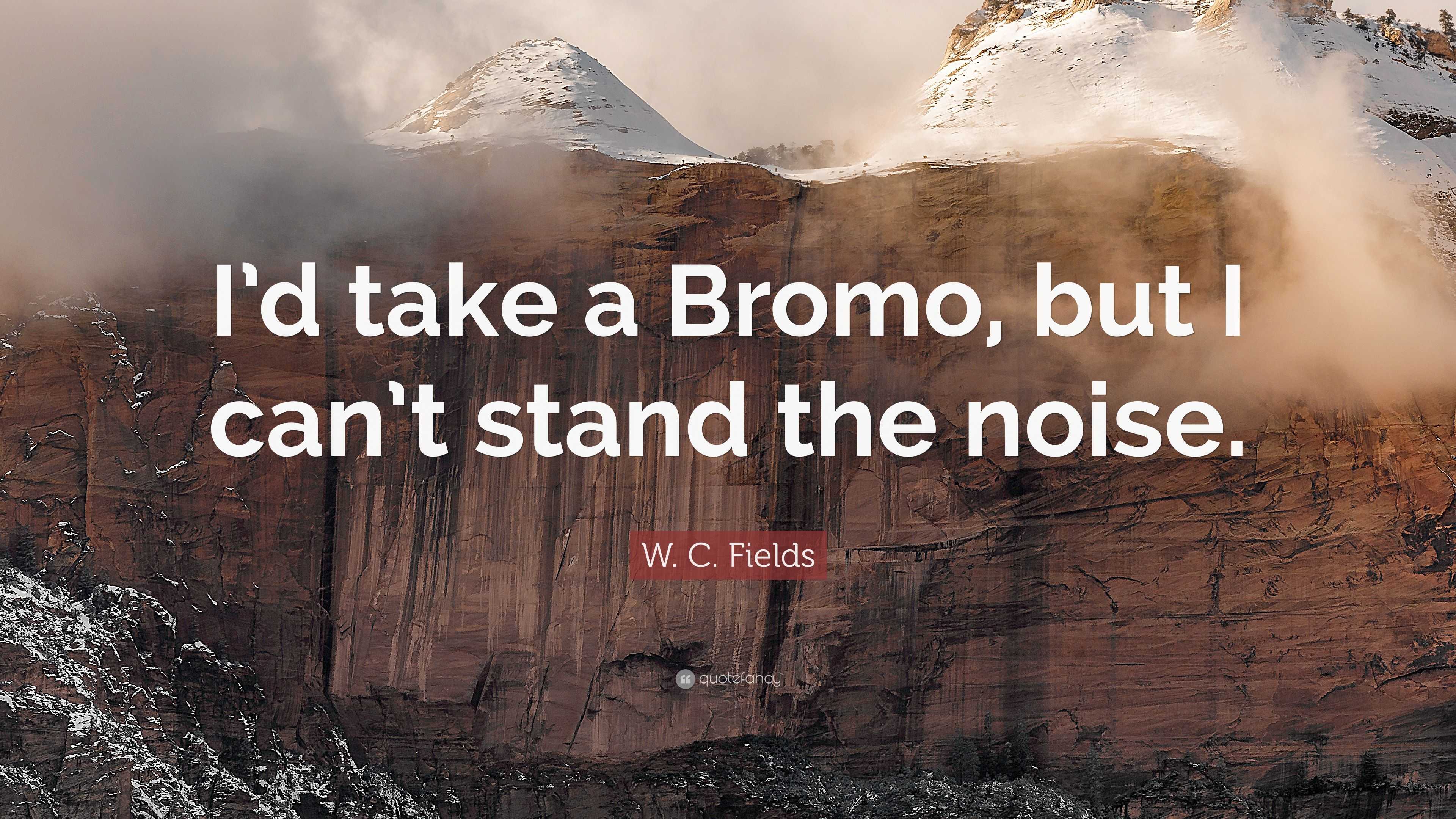 W C Fields Quote Id Take A Bromo But I Cant Stand The Noise