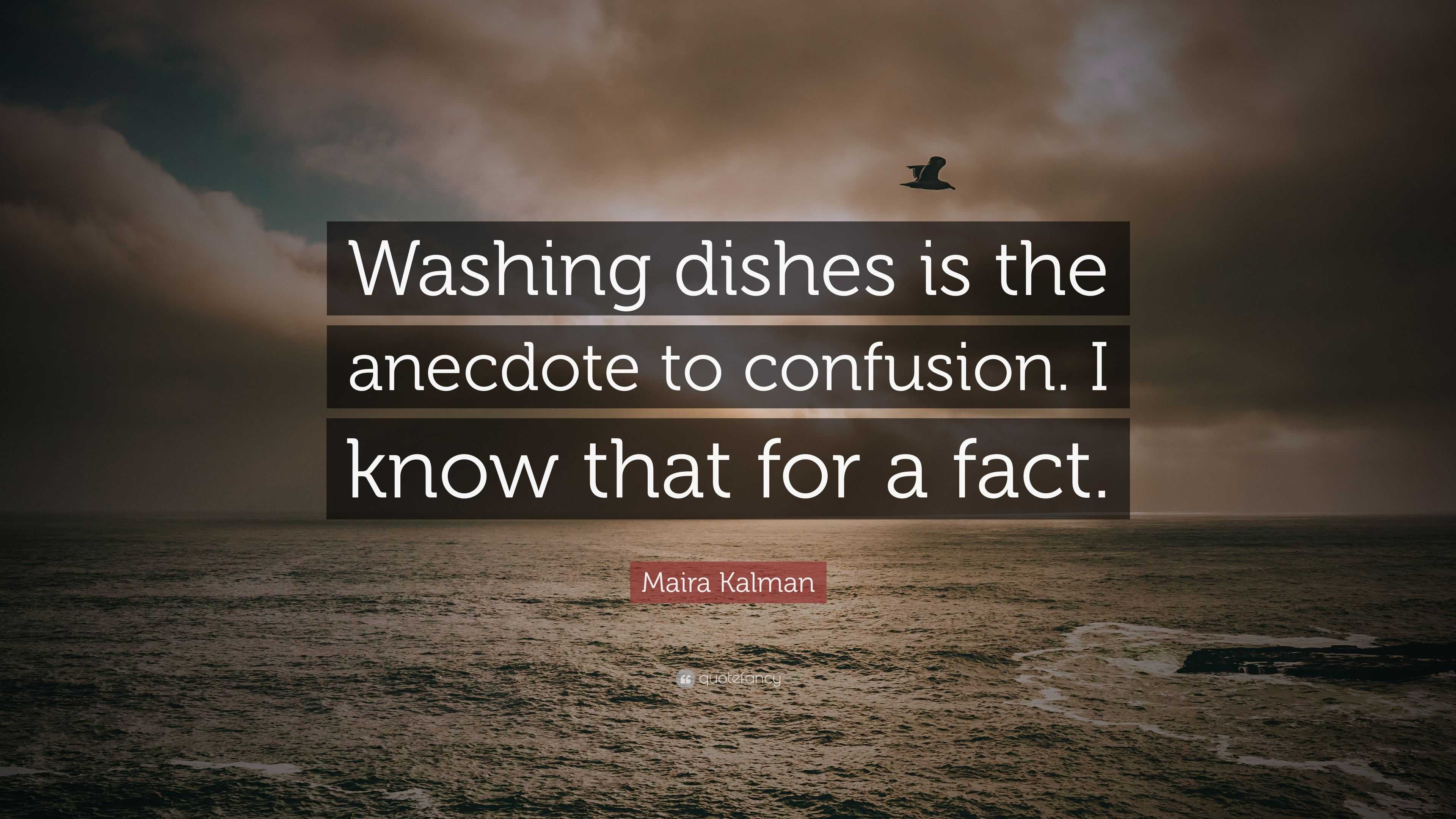 Maira Kalman Quote Washing Dishes Is The Anecdote To Confusion I