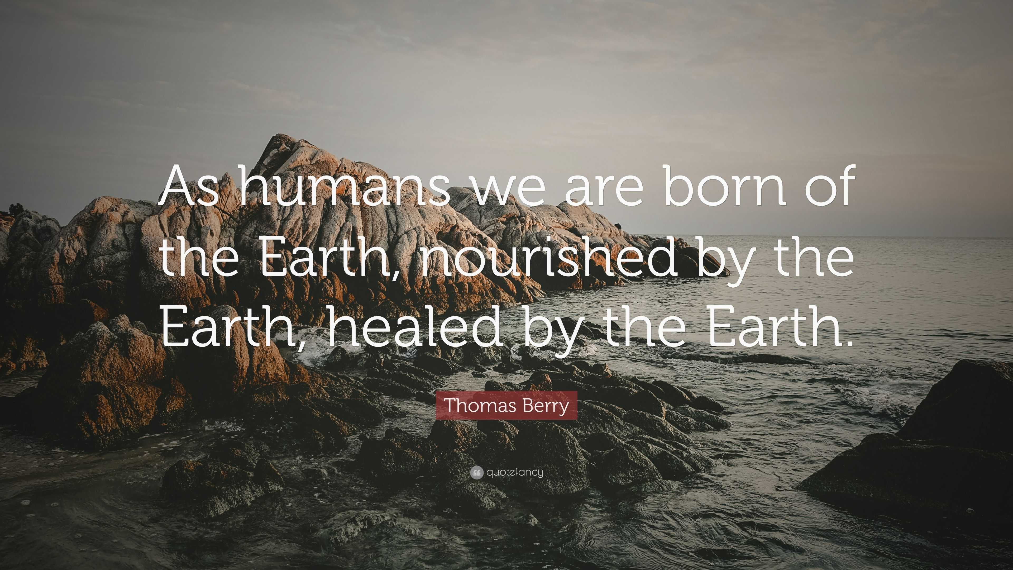 Thomas Berry Quote As Humans We Are Born Of The Earth Nourished By