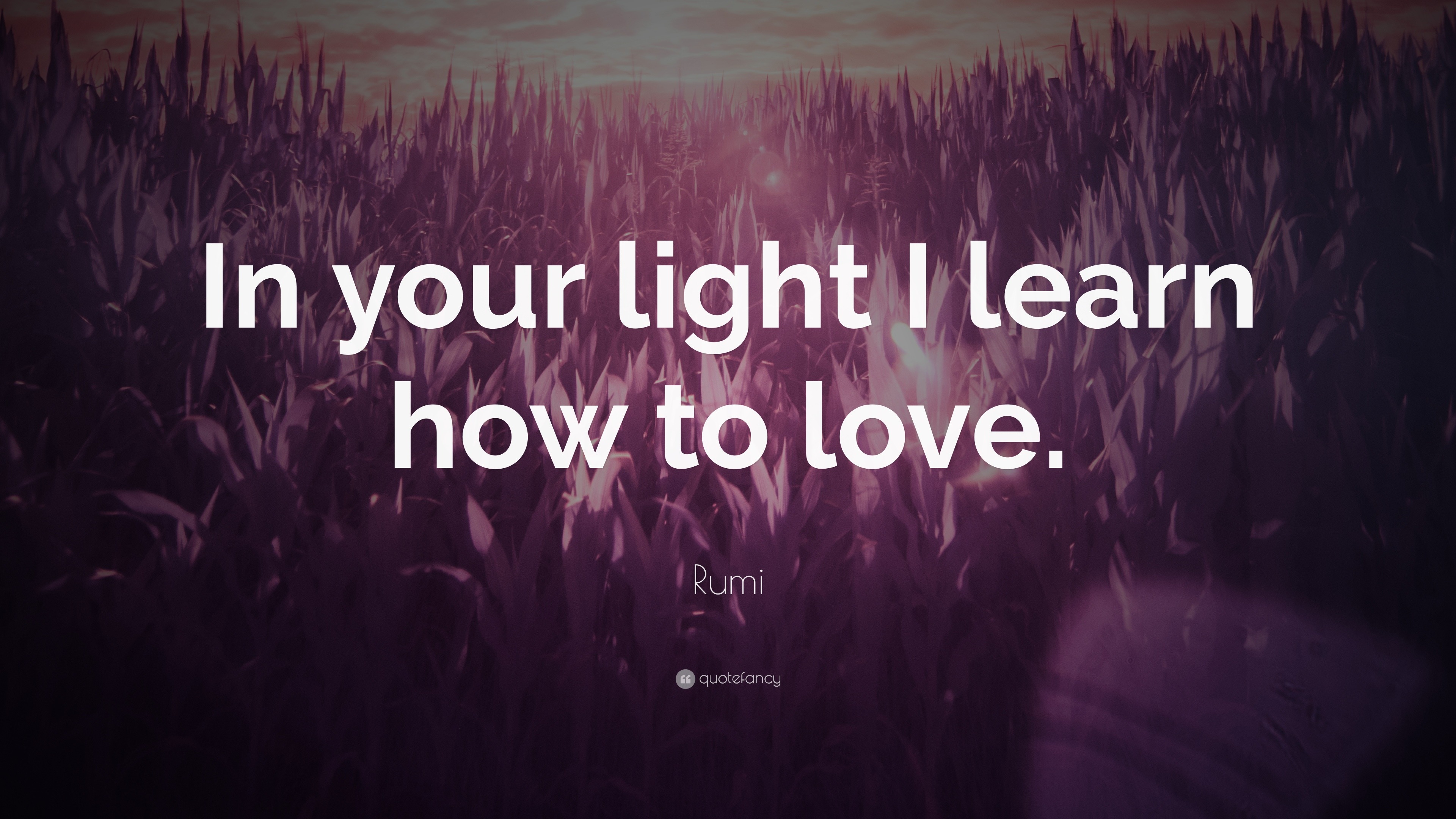 Rumi Quote In Your Light I Learn How To Love