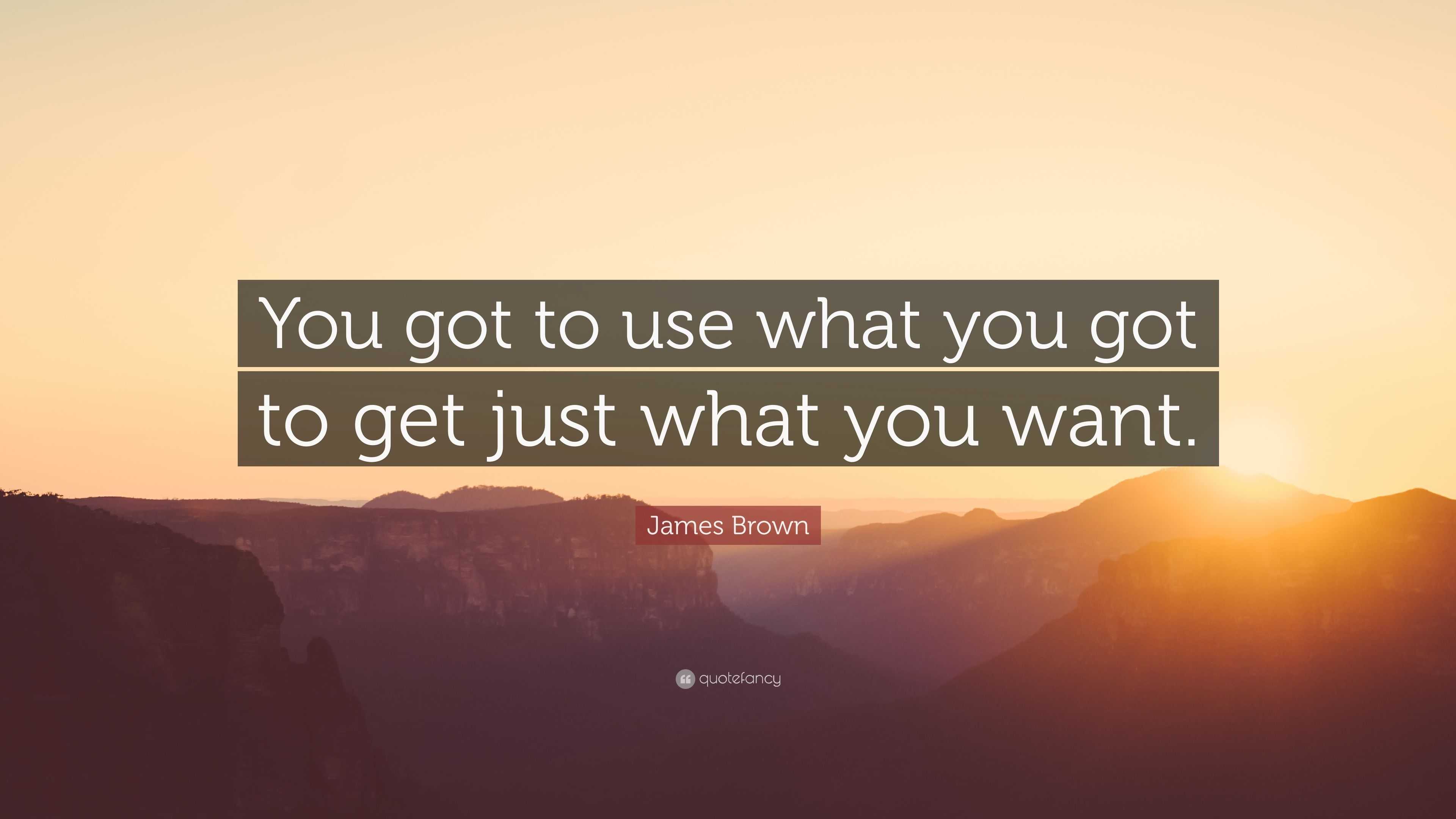 James Brown Quote You Got To Use What You Got To Get Just What You Want