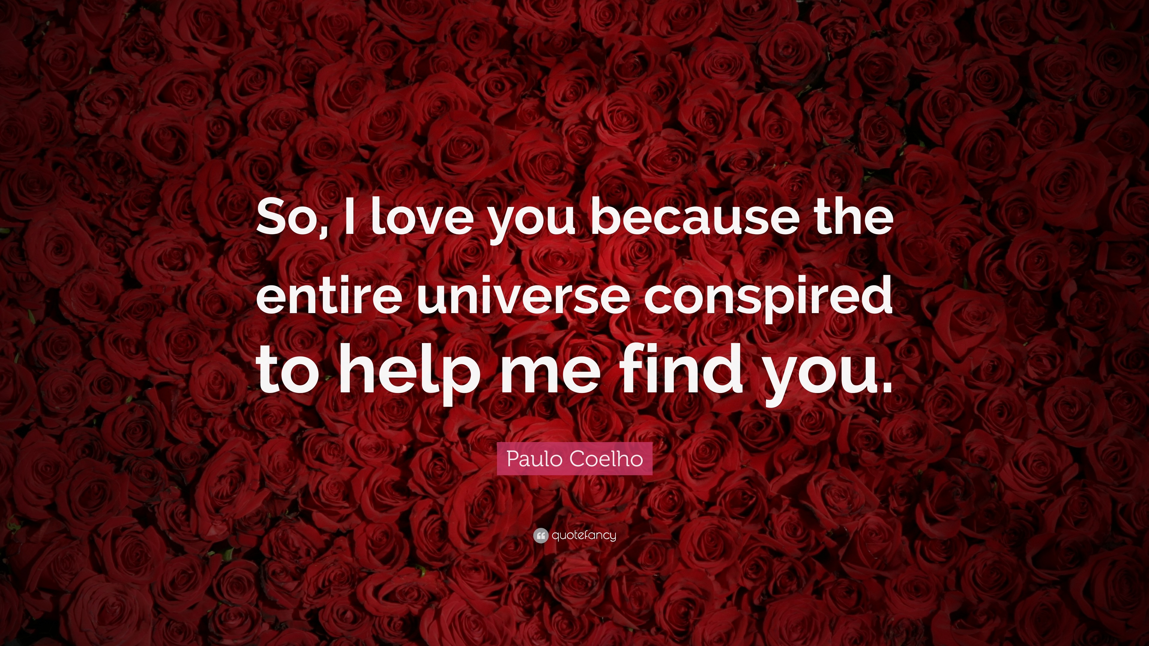 paulo coelho quote: "so, i love you because the entire universe