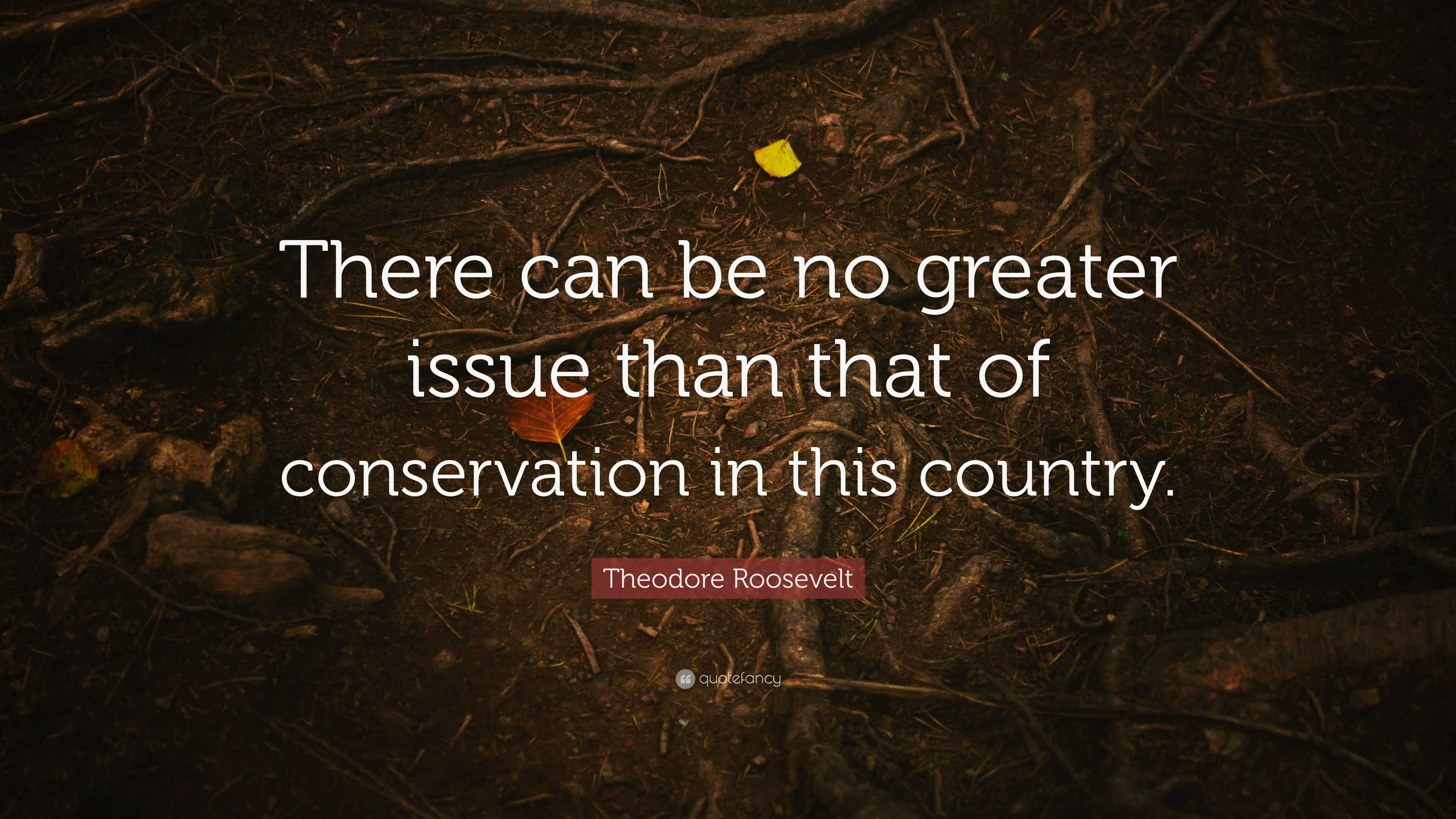 Theodore Roosevelt Quote There Can Be No Greater Issue Than That Of