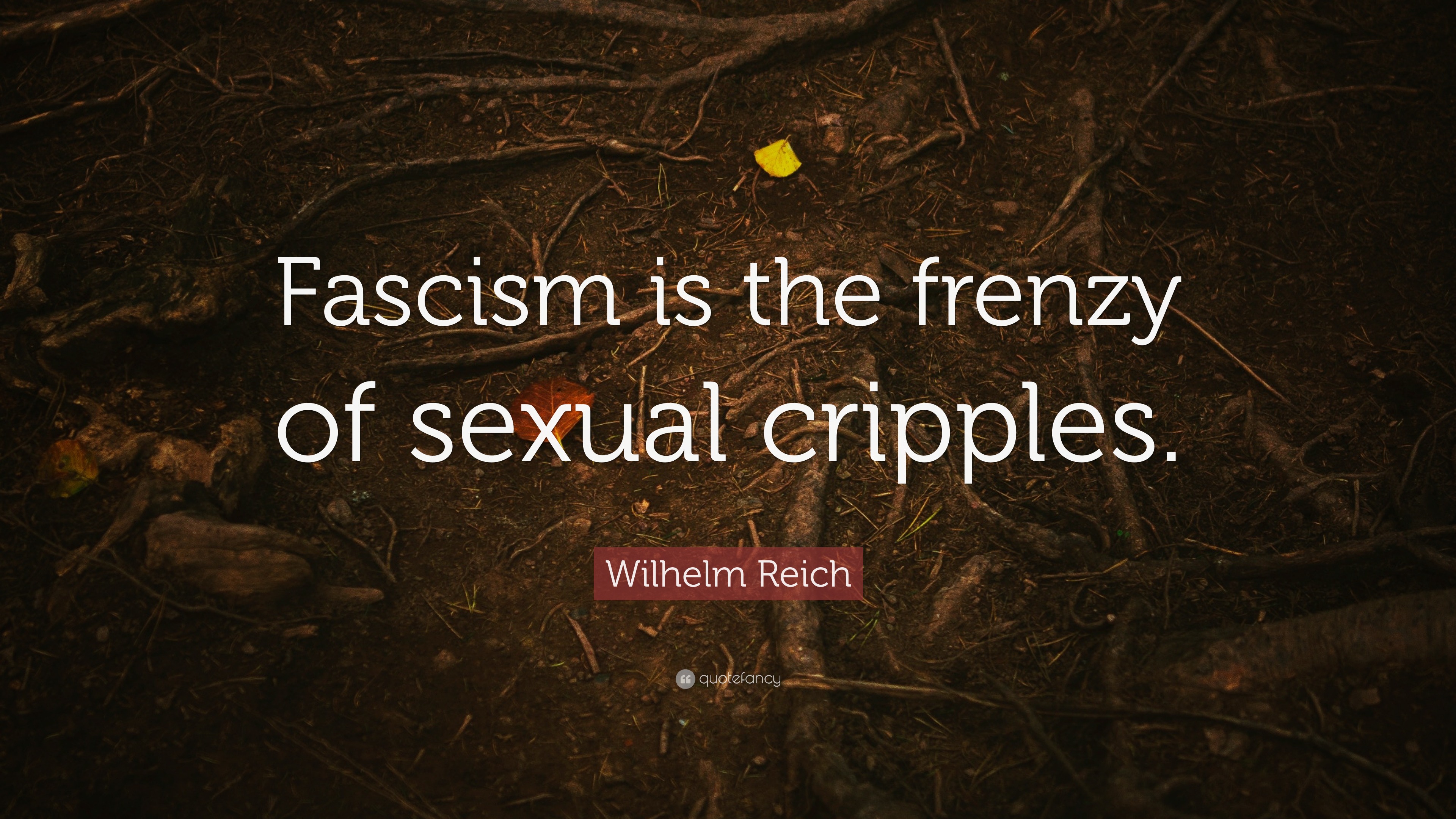 Wilhelm Reich Quote Fascism Is The Frenzy Of Sexual Cripples