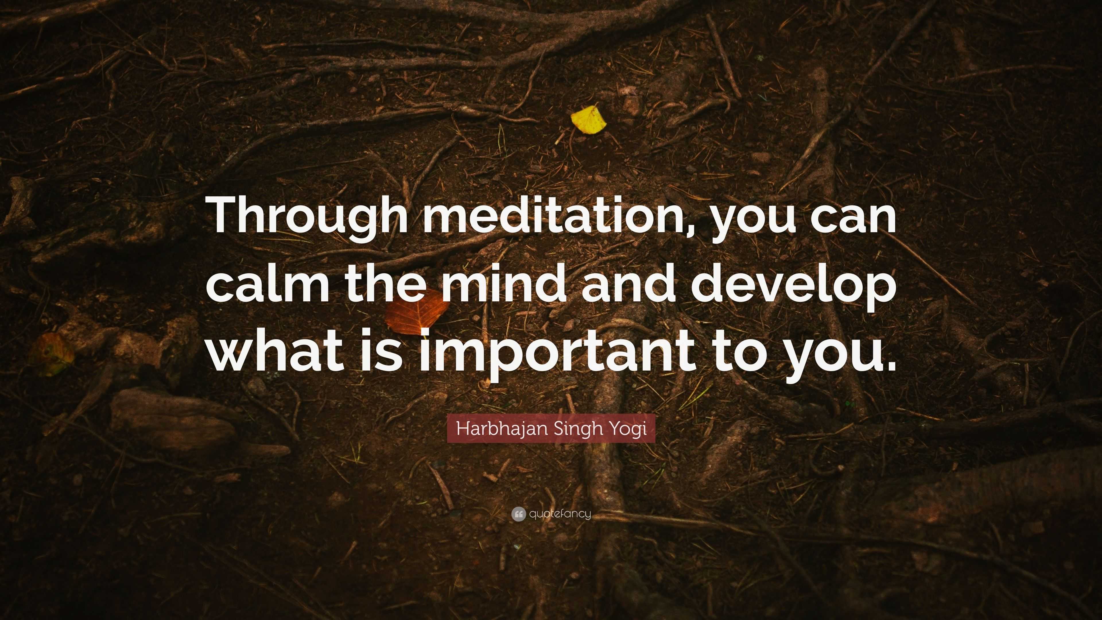 Harbhajan Singh Yogi Quote Through Meditation You Can Calm The Mind