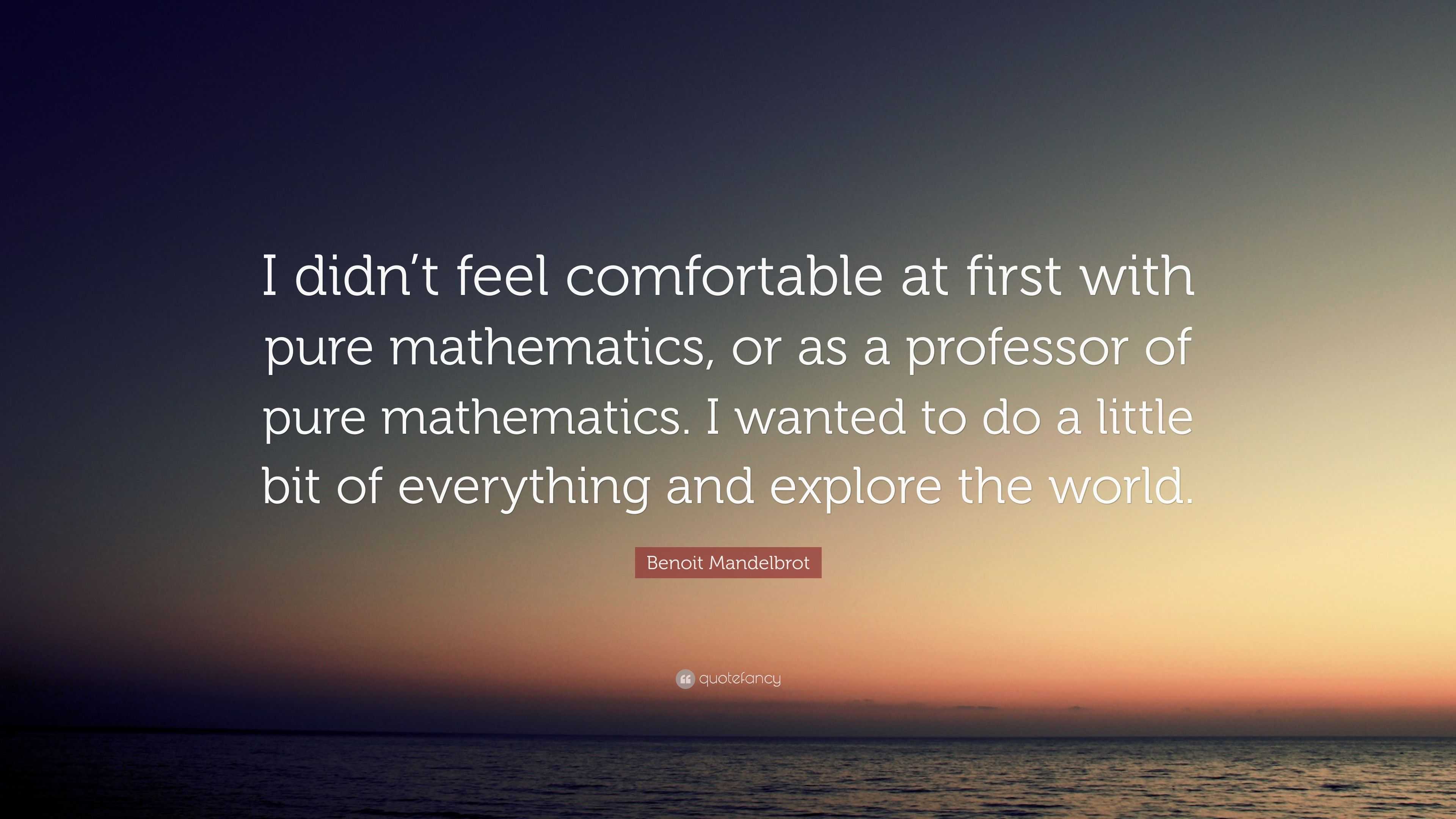 Benoit Mandelbrot Quote I Didnt Feel Comfortable At First With Pure