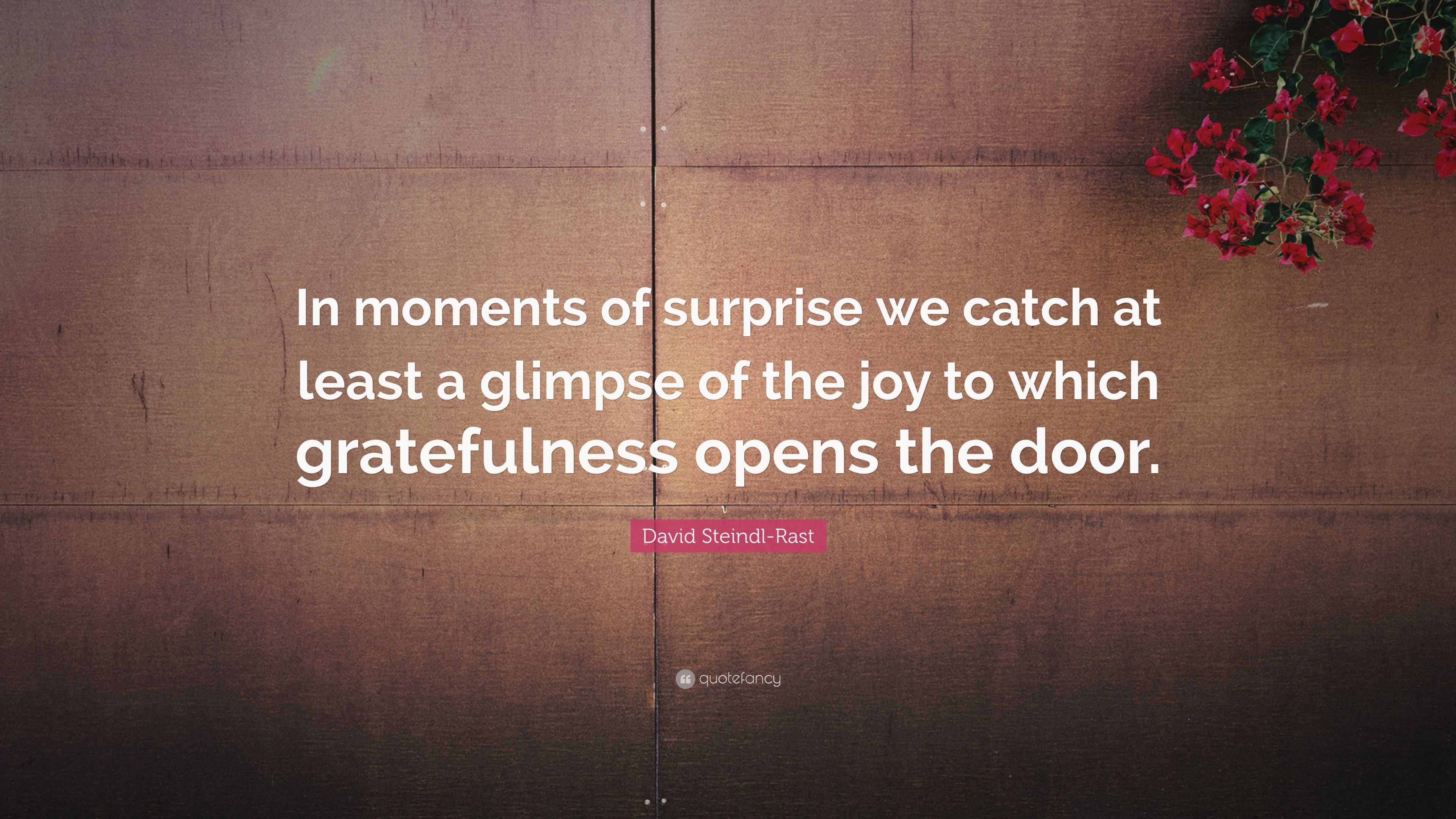 David Steindl Rast Quote In Moments Of Surprise We Catch At Least A