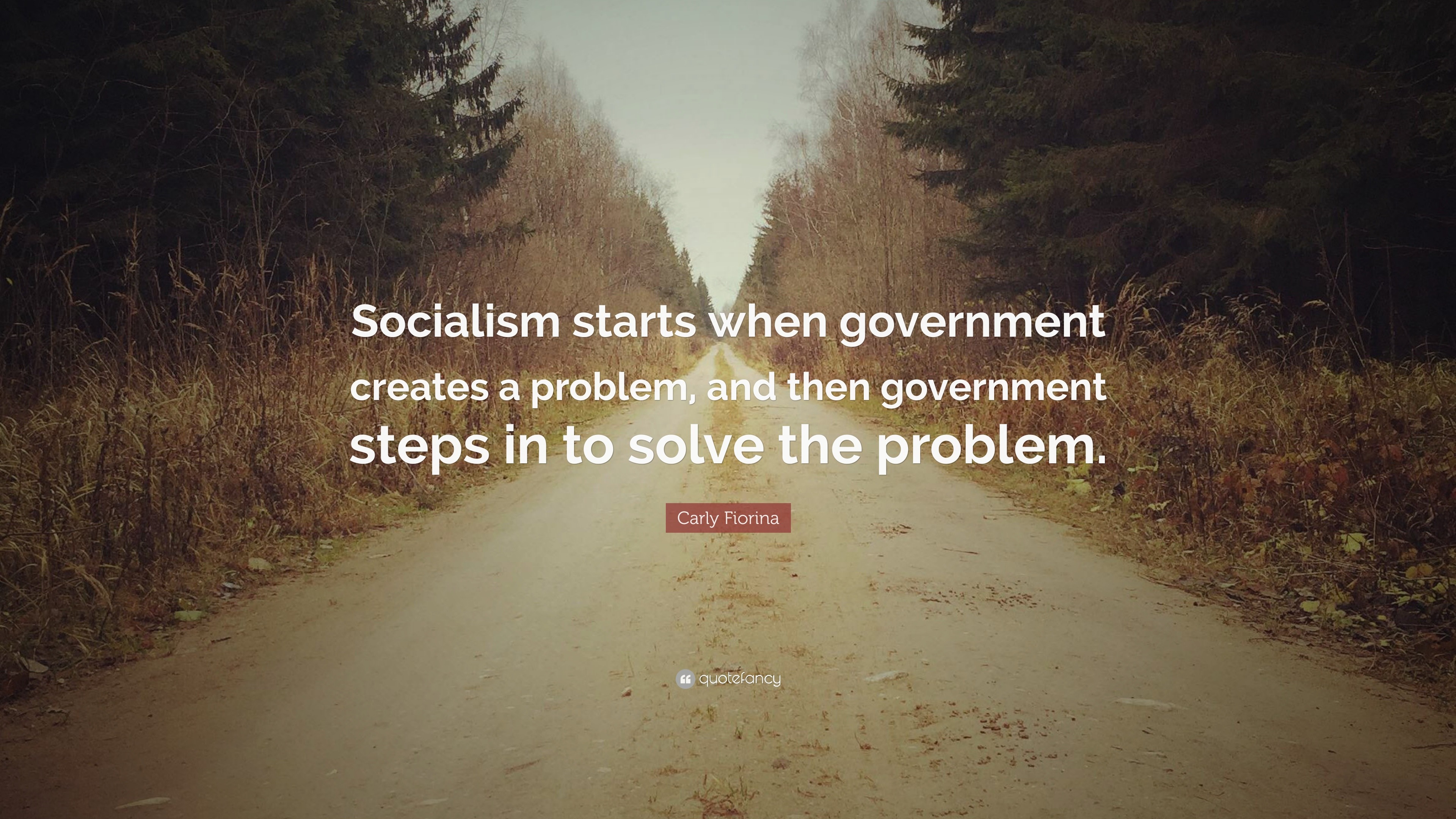 Carly Fiorina Quote Socialism Starts When Government Creates A