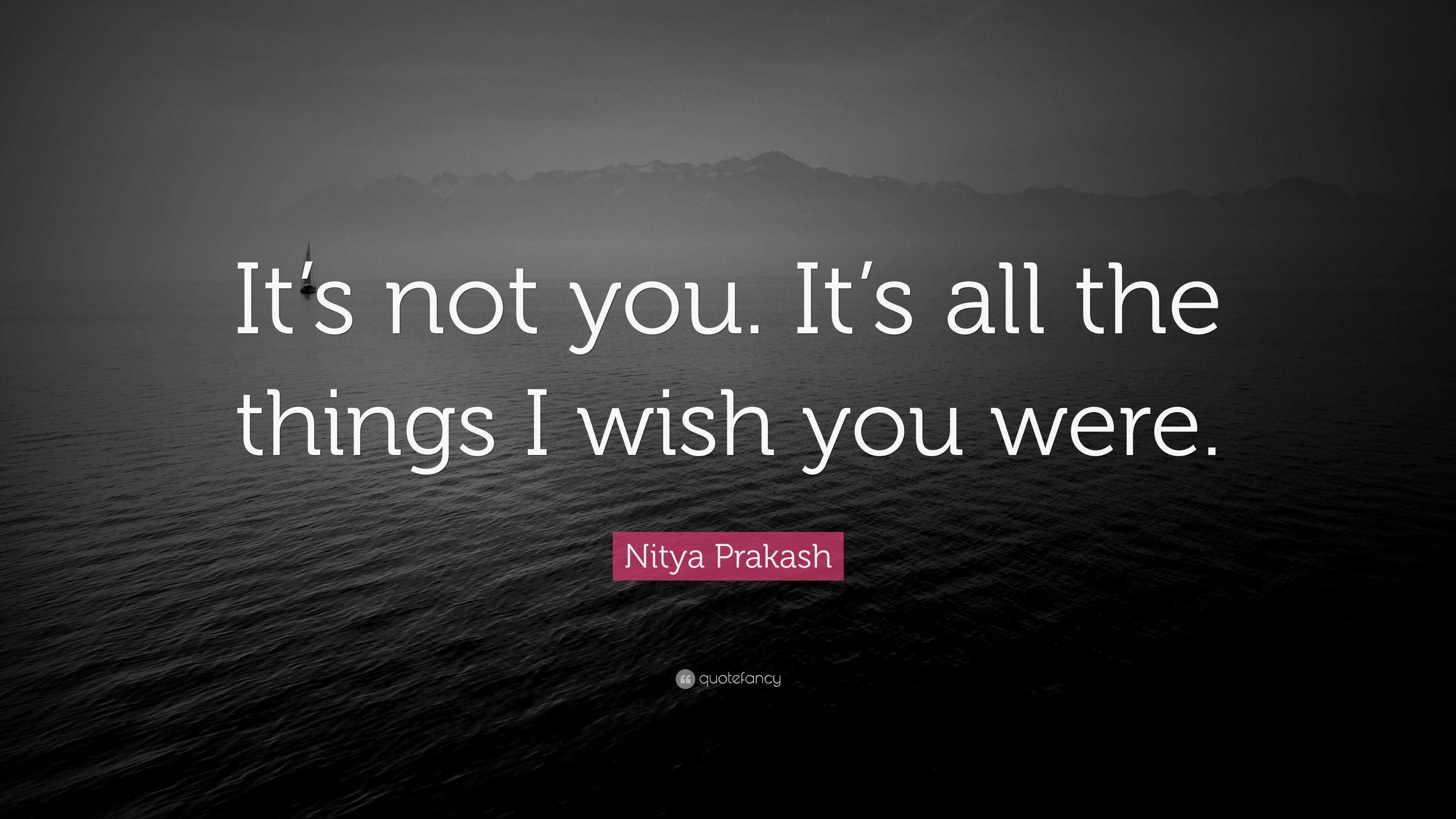 Nitya Prakash Quote Its Not You Its All The Things I Wish You Were