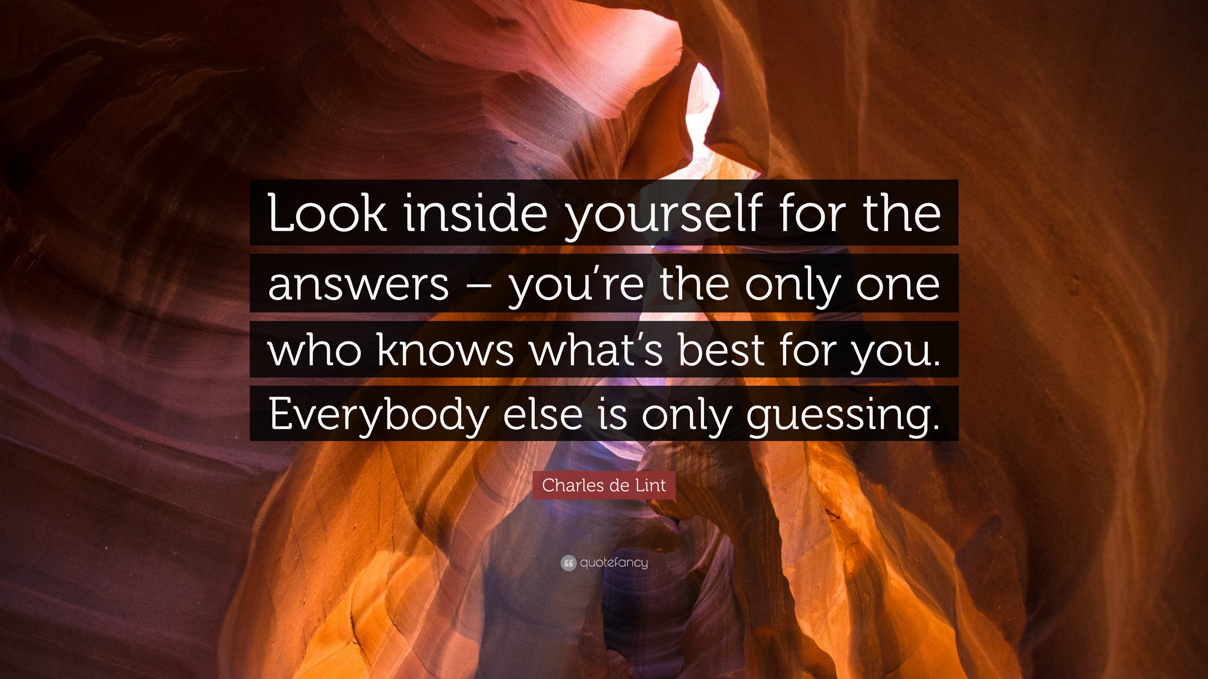 Charles De Lint Quote Look Inside Yourself For The Answers Youre The Only One Who Knows