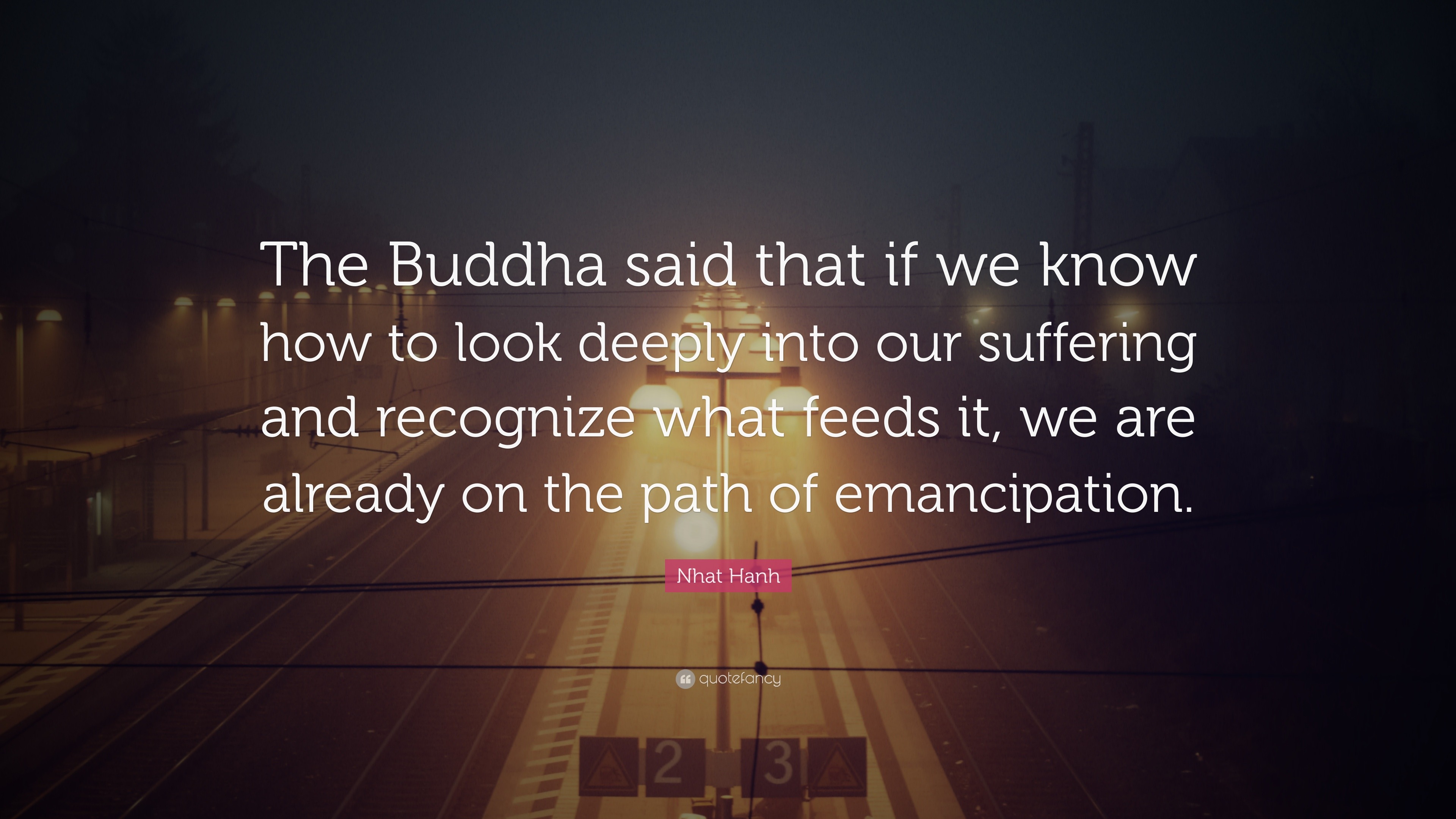 Nhat Hanh Quote The Buddha Said That If We Know How To Look Deeply