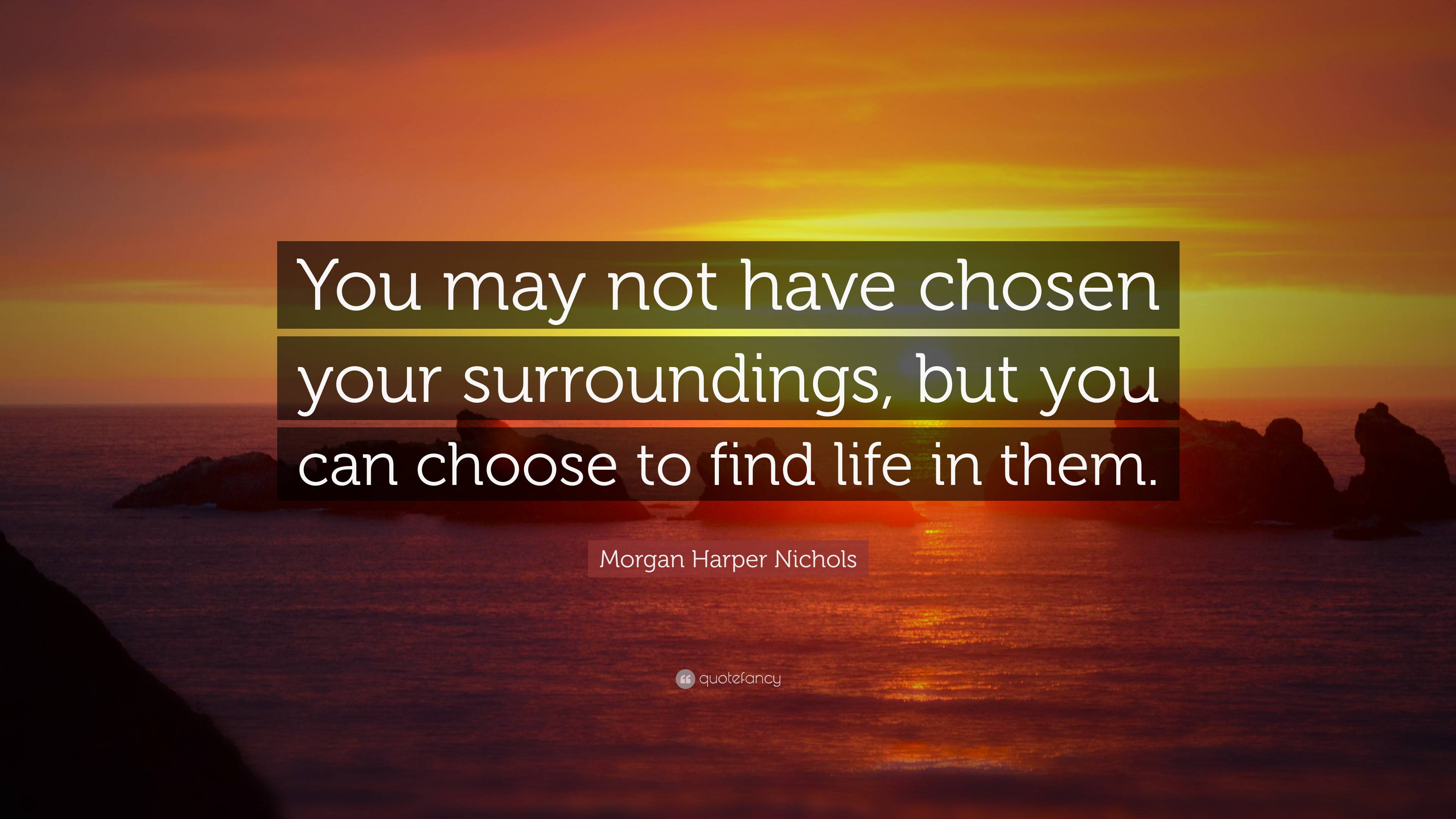 Morgan Harper Nichols Quote You May Not Have Chosen Your Surroundings