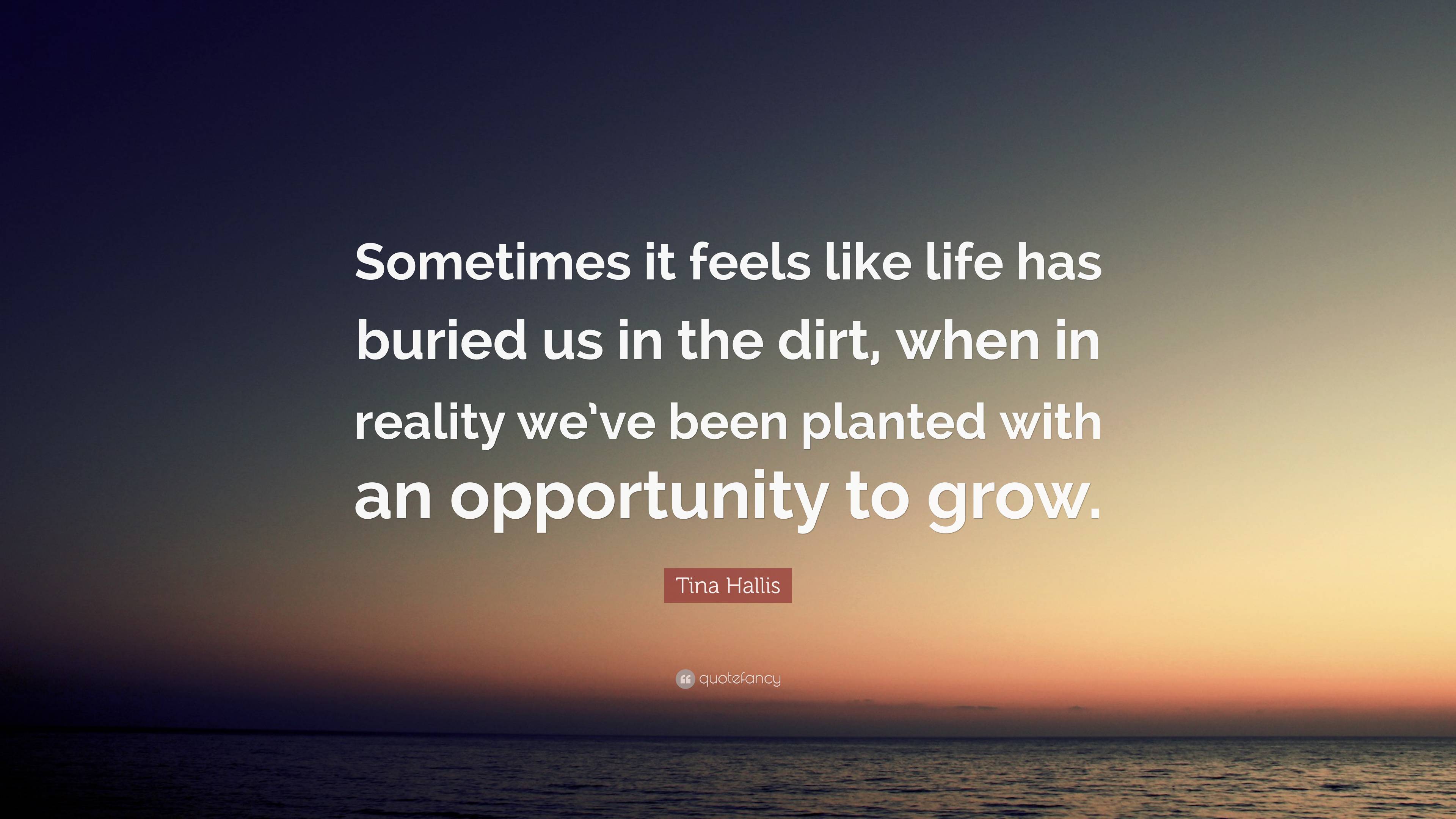 Tina Hallis Quote Sometimes It Feels Like Life Has Buried Us In The