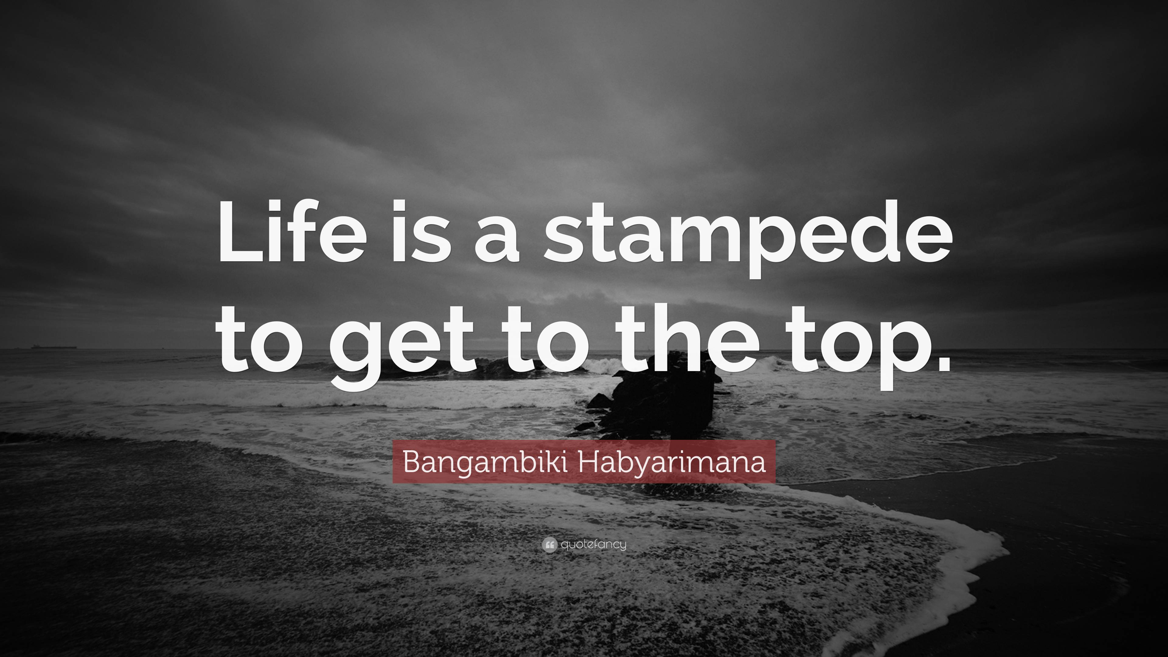 Bangambiki Habyarimana Quote Life Is A Stampede To Get To The Top