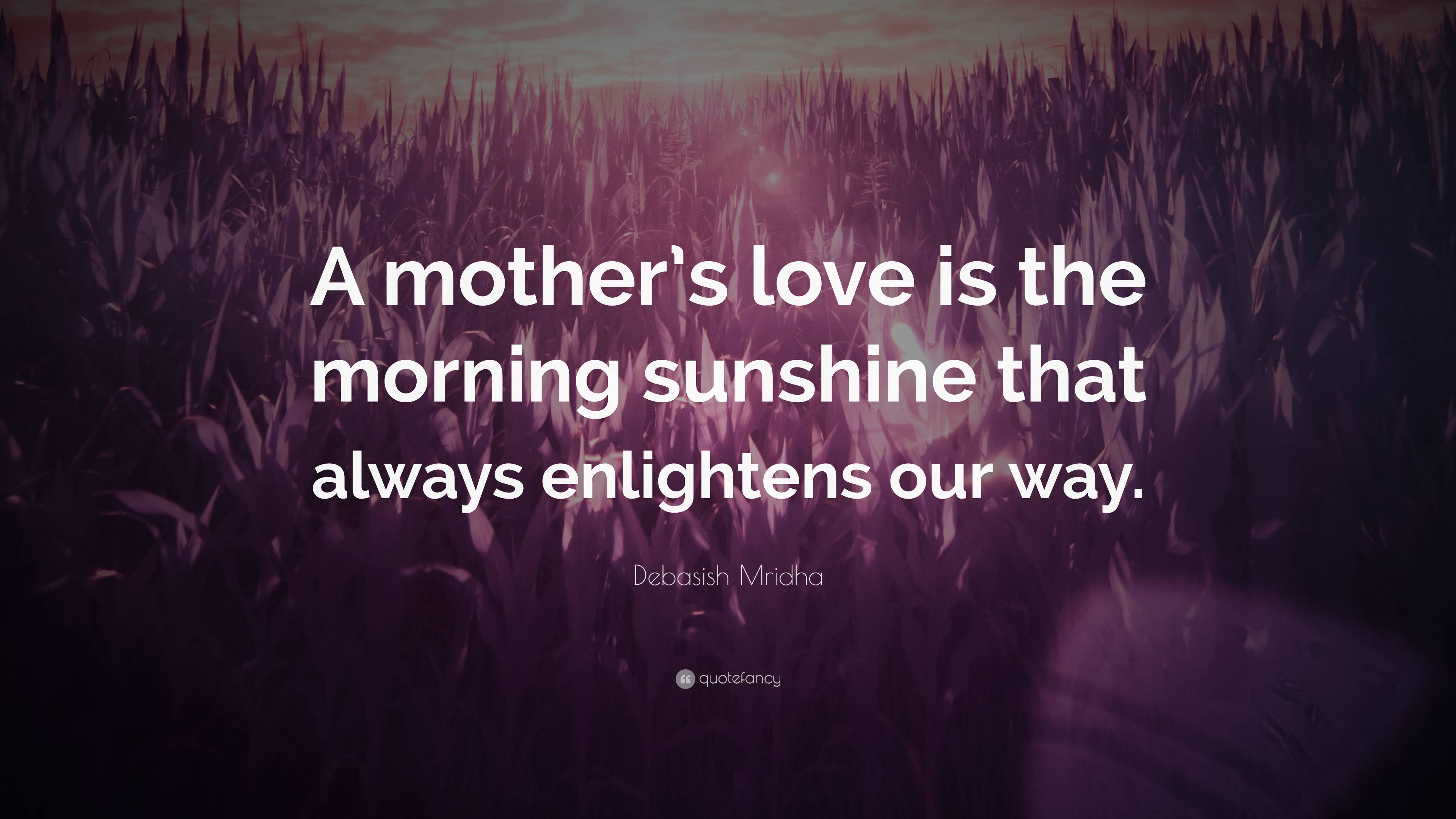 Debasish Mridha Quote A Mothers Love Is The Morning Sunshine That