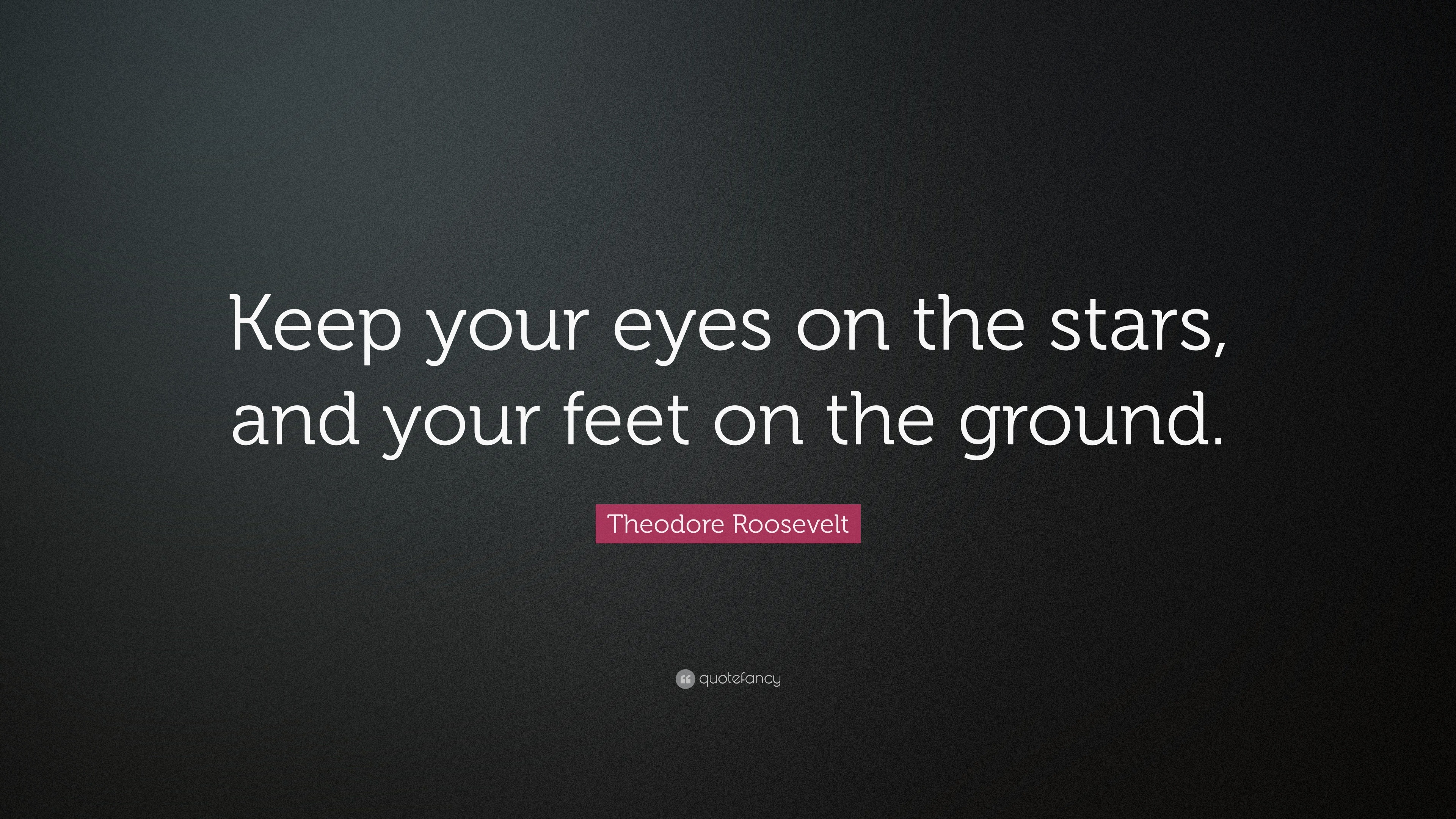 "keep your eyes on the stars, and your feet on the ground.