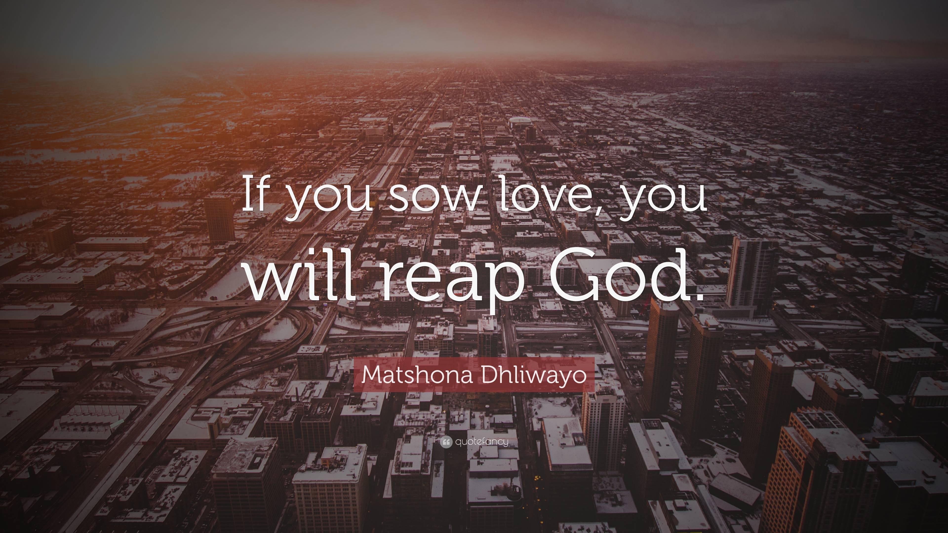 Matshona Dhliwayo Quote If You Sow Love You Will Reap God