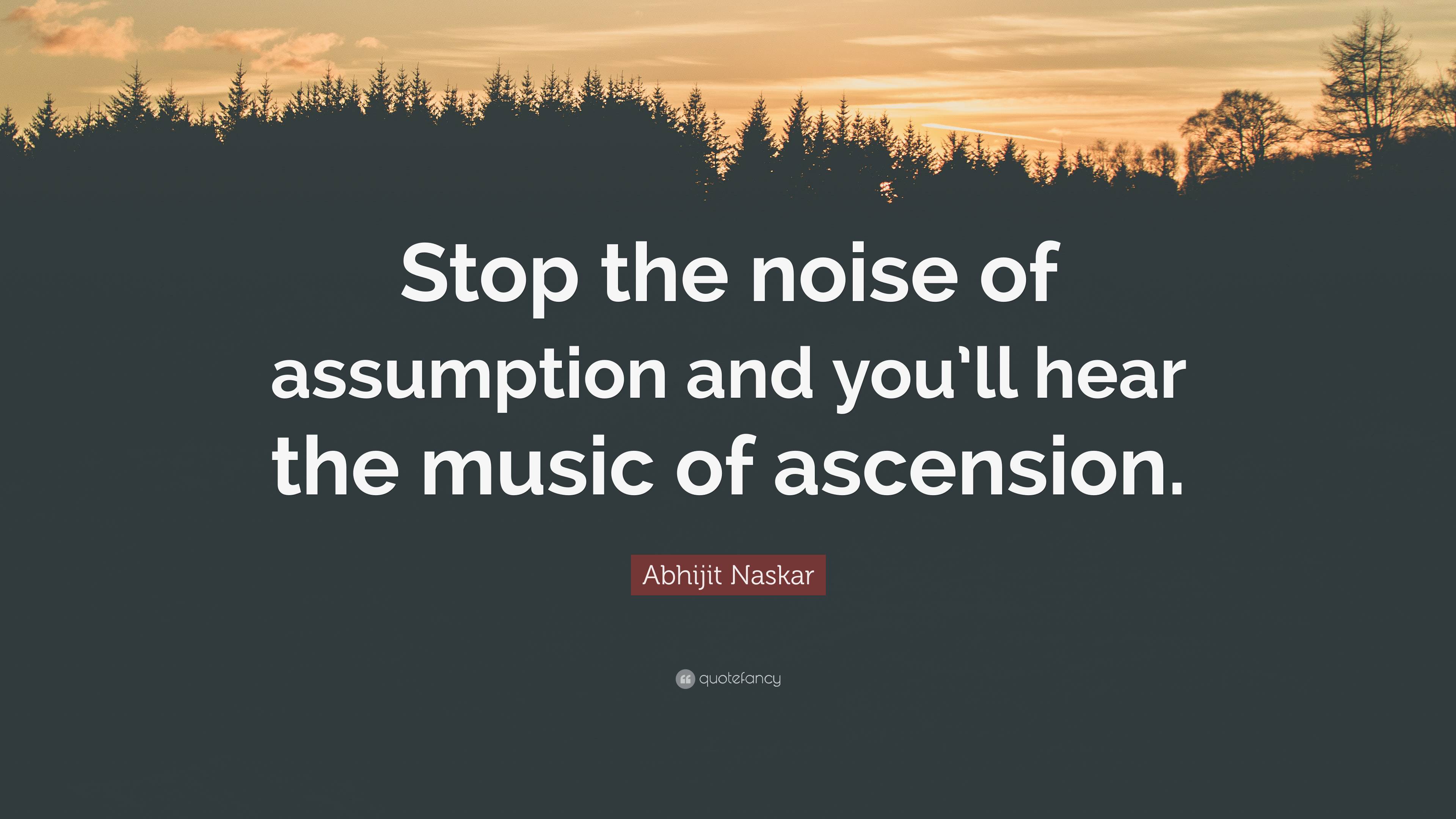 Abhijit Naskar Quote Stop The Noise Of Assumption And Youll Hear The