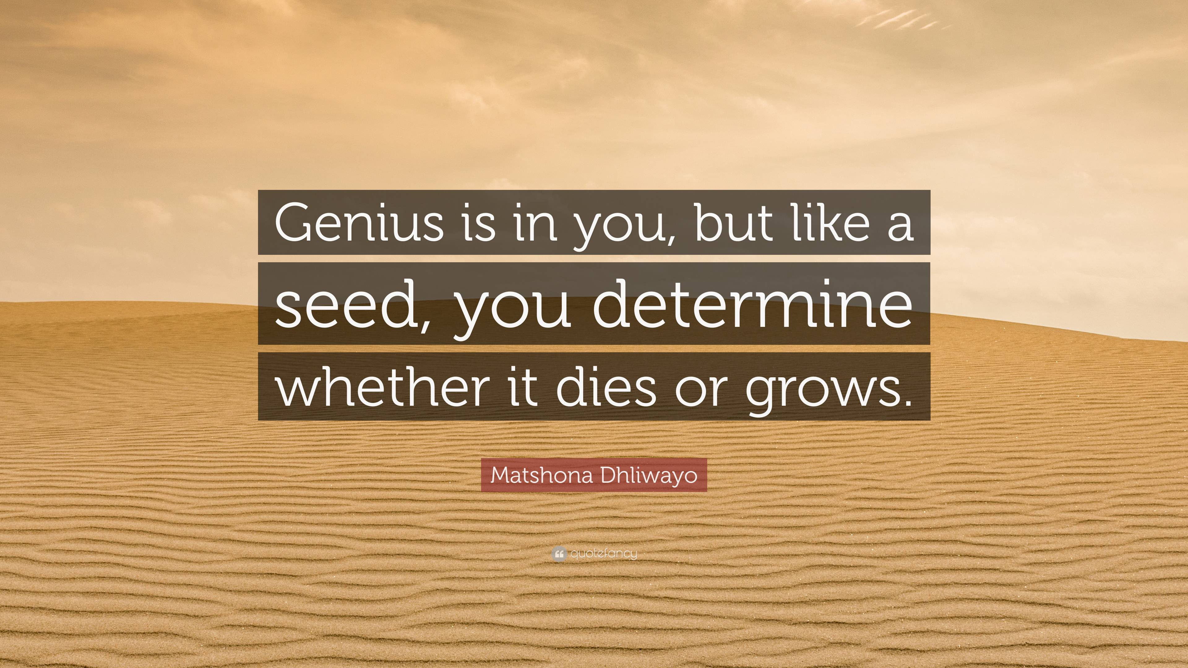 Matshona Dhliwayo Quote Genius Is In You But Like A Seed You