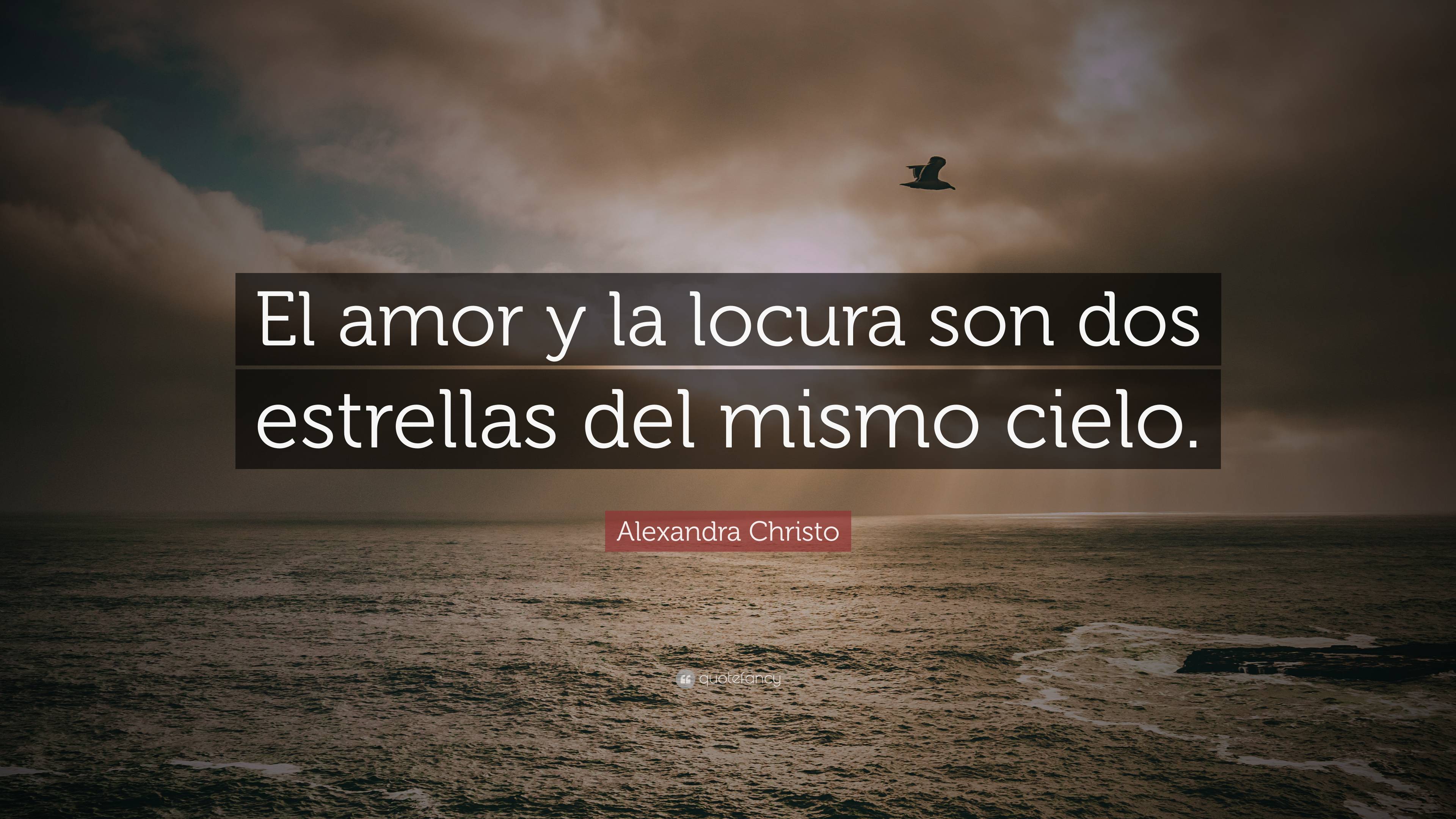 Alexandra Christo Quote El Amor Y La Locura Son Dos Estrellas Del