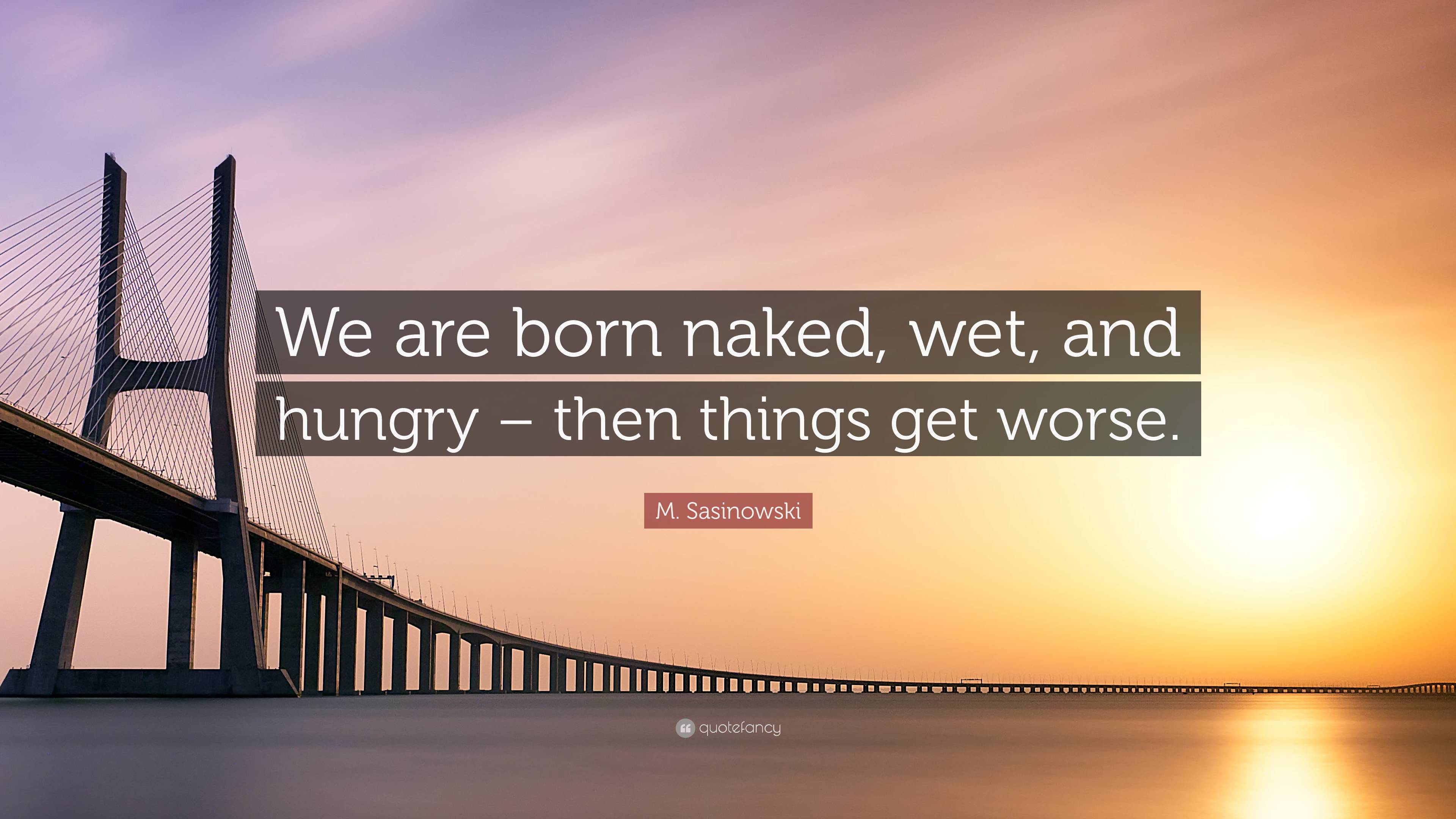 M Sasinowski Quote We Are Born Naked Wet And Hungry Then Things