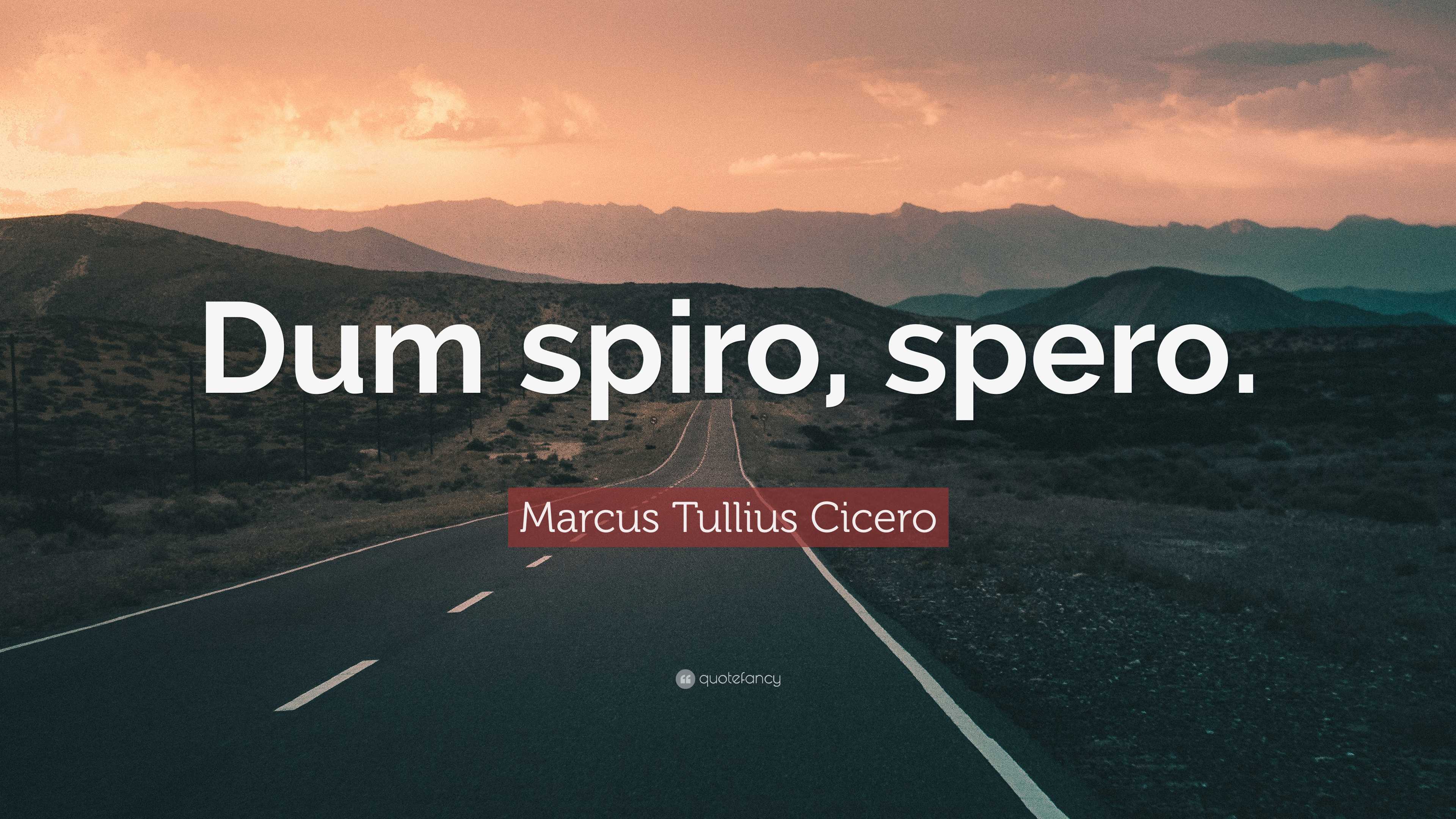 Marcus Tullius Cicero Quote Dum Spiro Spero