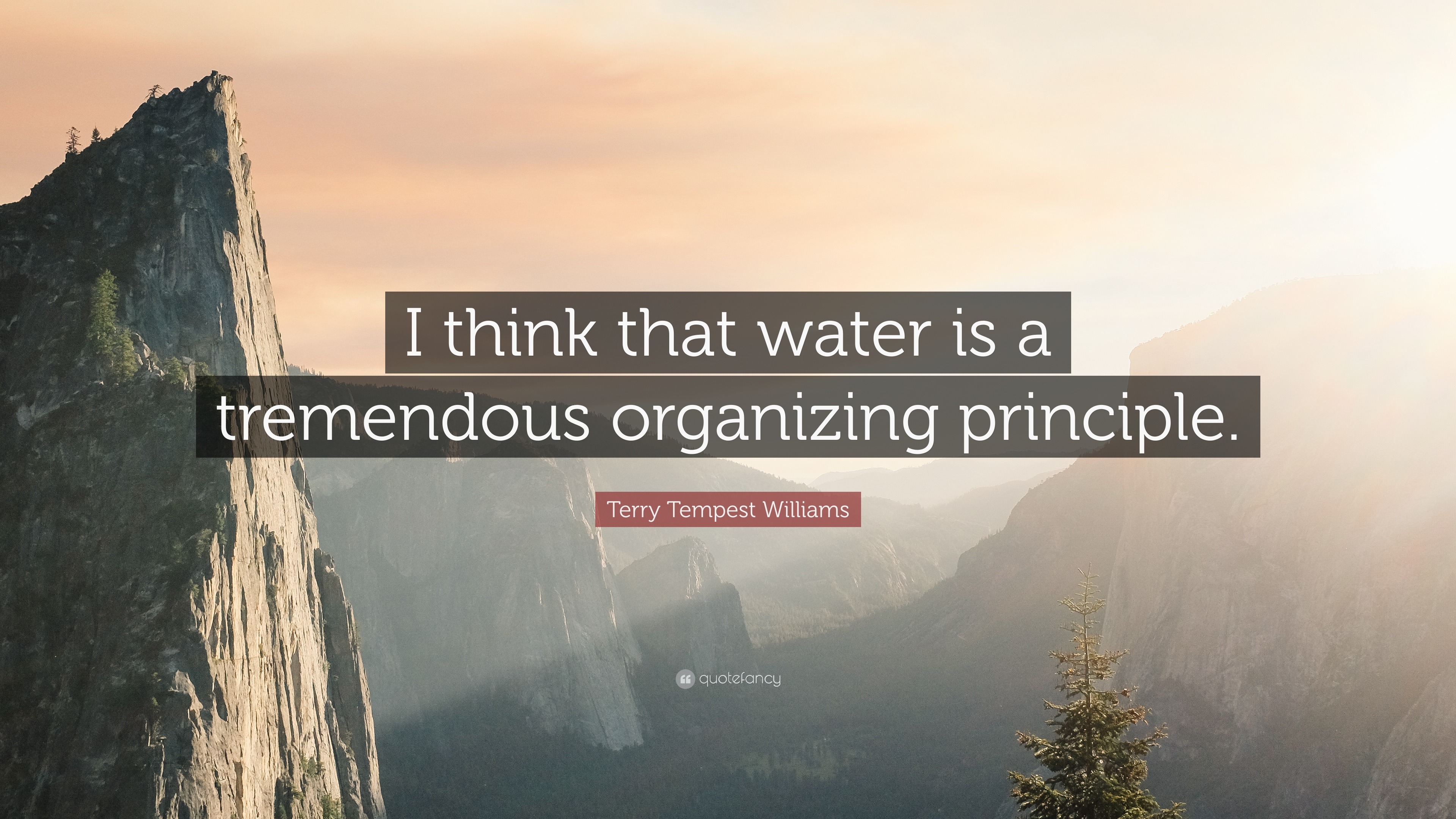 Terry Tempest Williams Quote I Think That Water Is A Tremendous