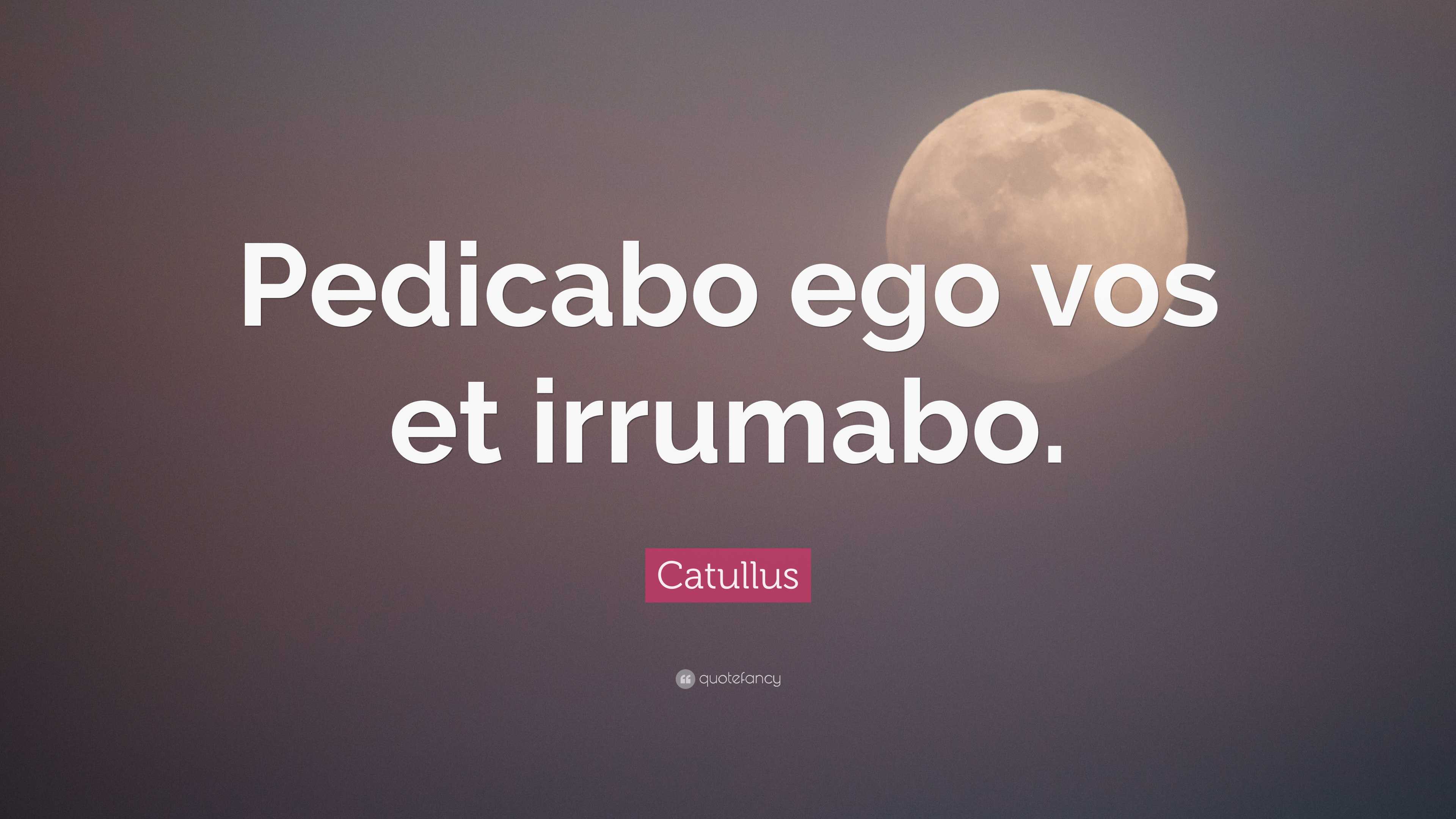 Catullus Quote Pedicabo Ego Vos Et Irrumabo