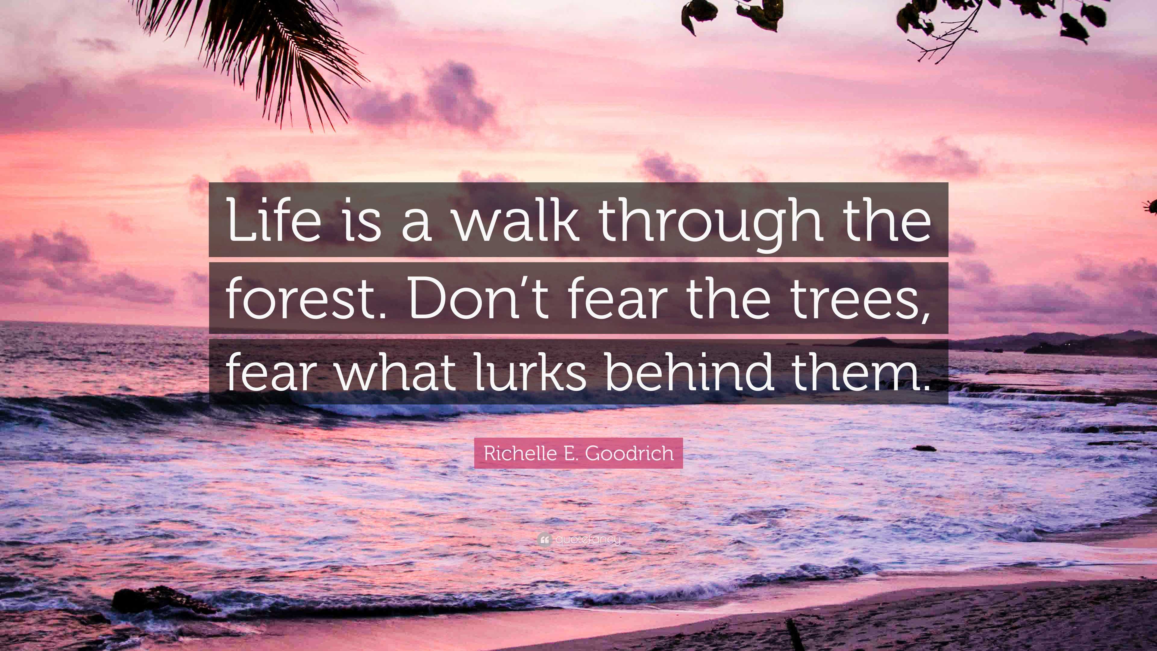 Richelle E Goodrich Quote Life Is A Walk Through The Forest Dont