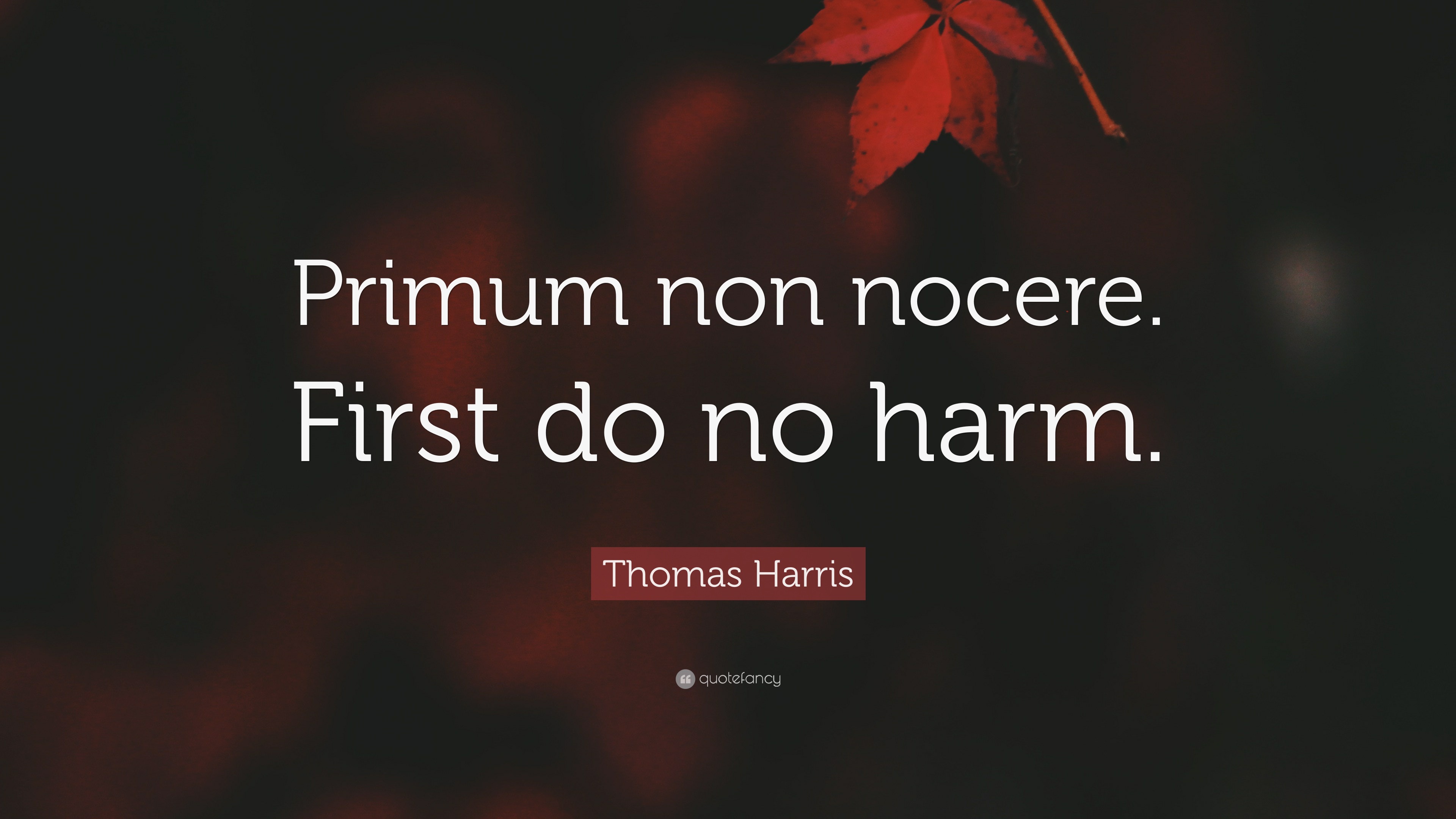 Thomas Harris Quote Primum Non Nocere First Do No Harm