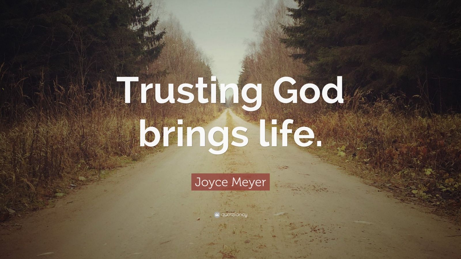 Joyce Meyer Quote “Trusting God brings life.”