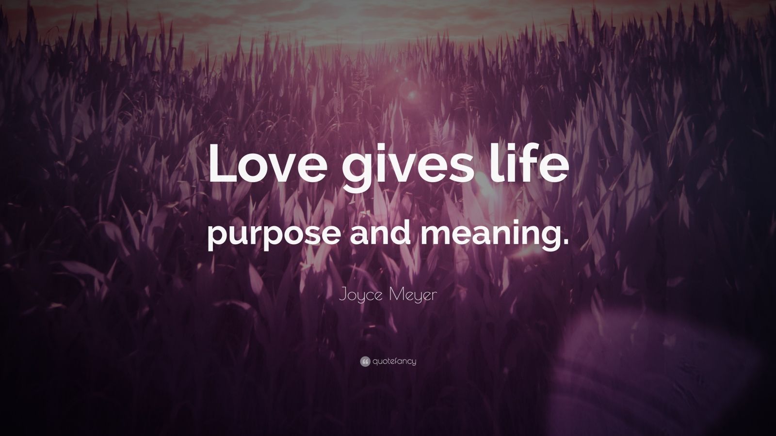 Joyce Meyer Quote “Love gives life purpose and meaning.” (12