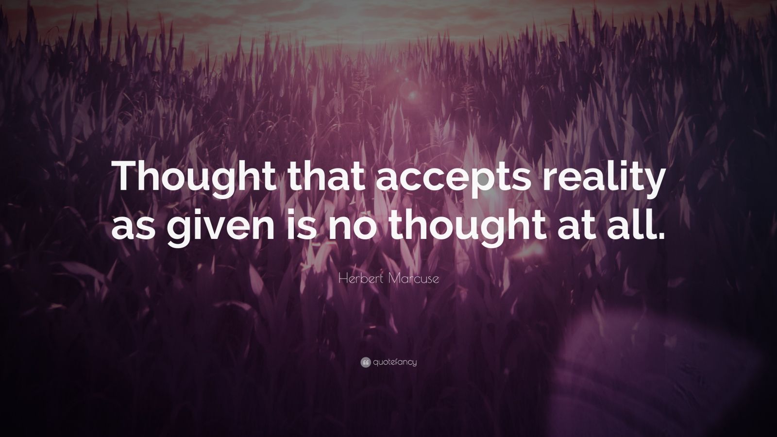 Top 70 Herbert Marcuse Quotes 2022 Update Quotefancy
