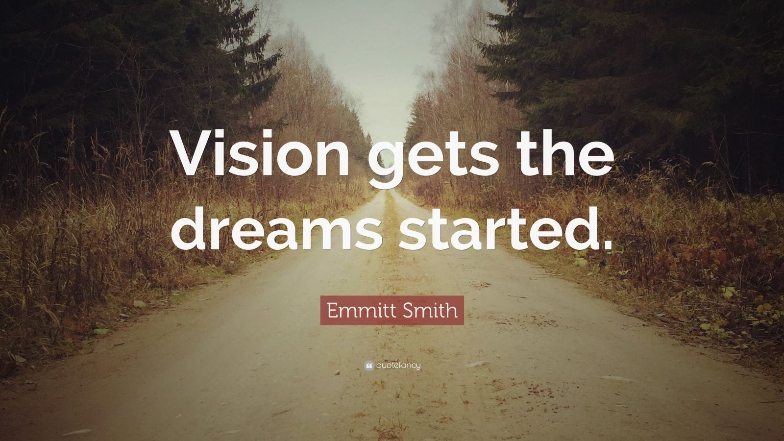 Emmitt Smith Quote “Vision gets the dreams started.” (7