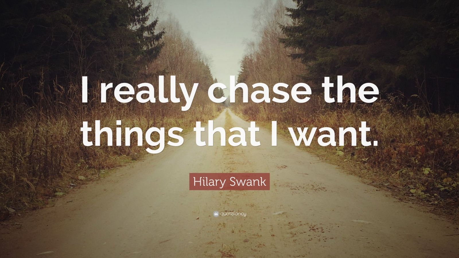 Hilary Swank Quote “i Really Chase The Things That I Want”