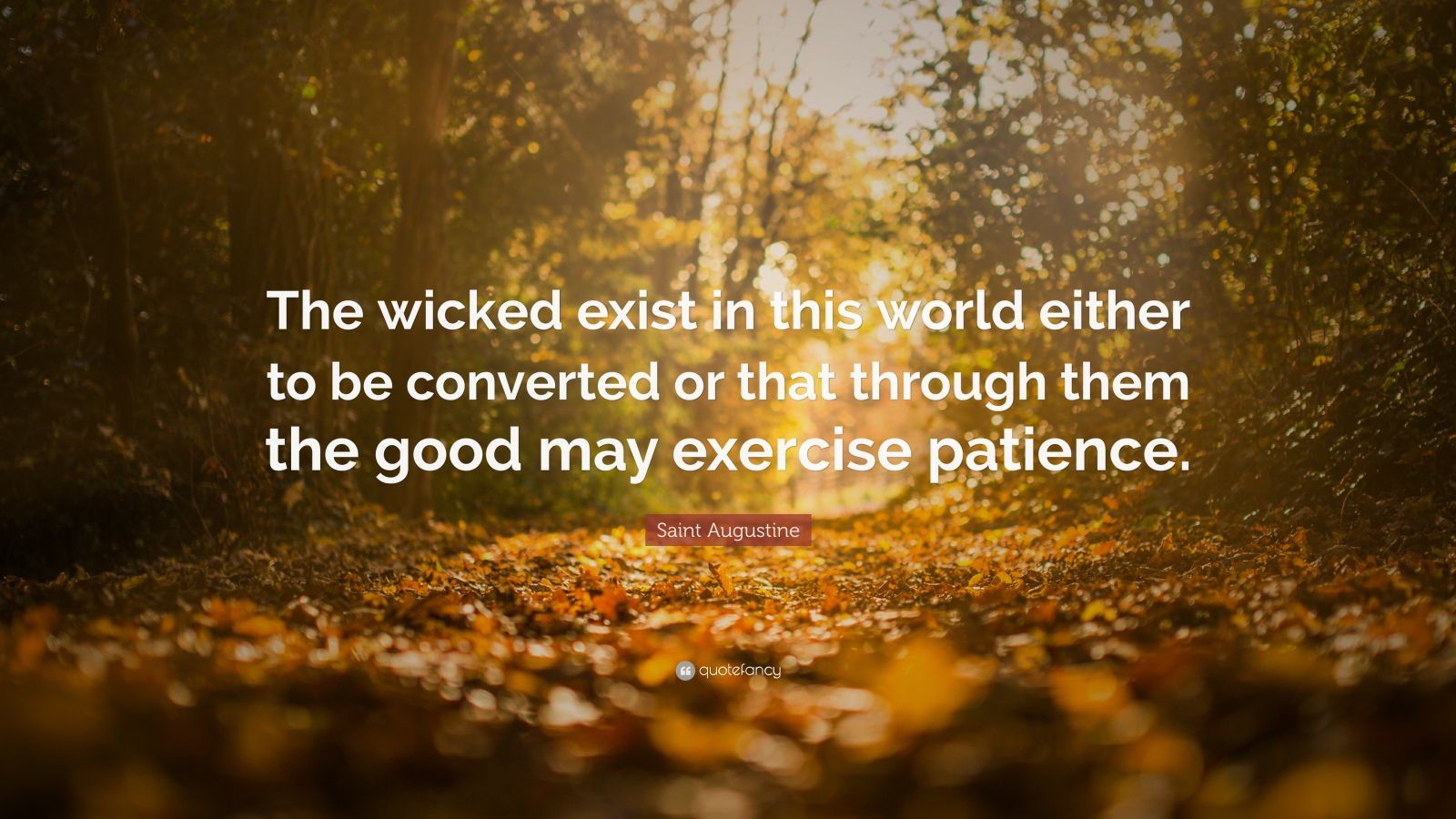 Saint Augustine Quote: “The wicked exist in this world either to be ...