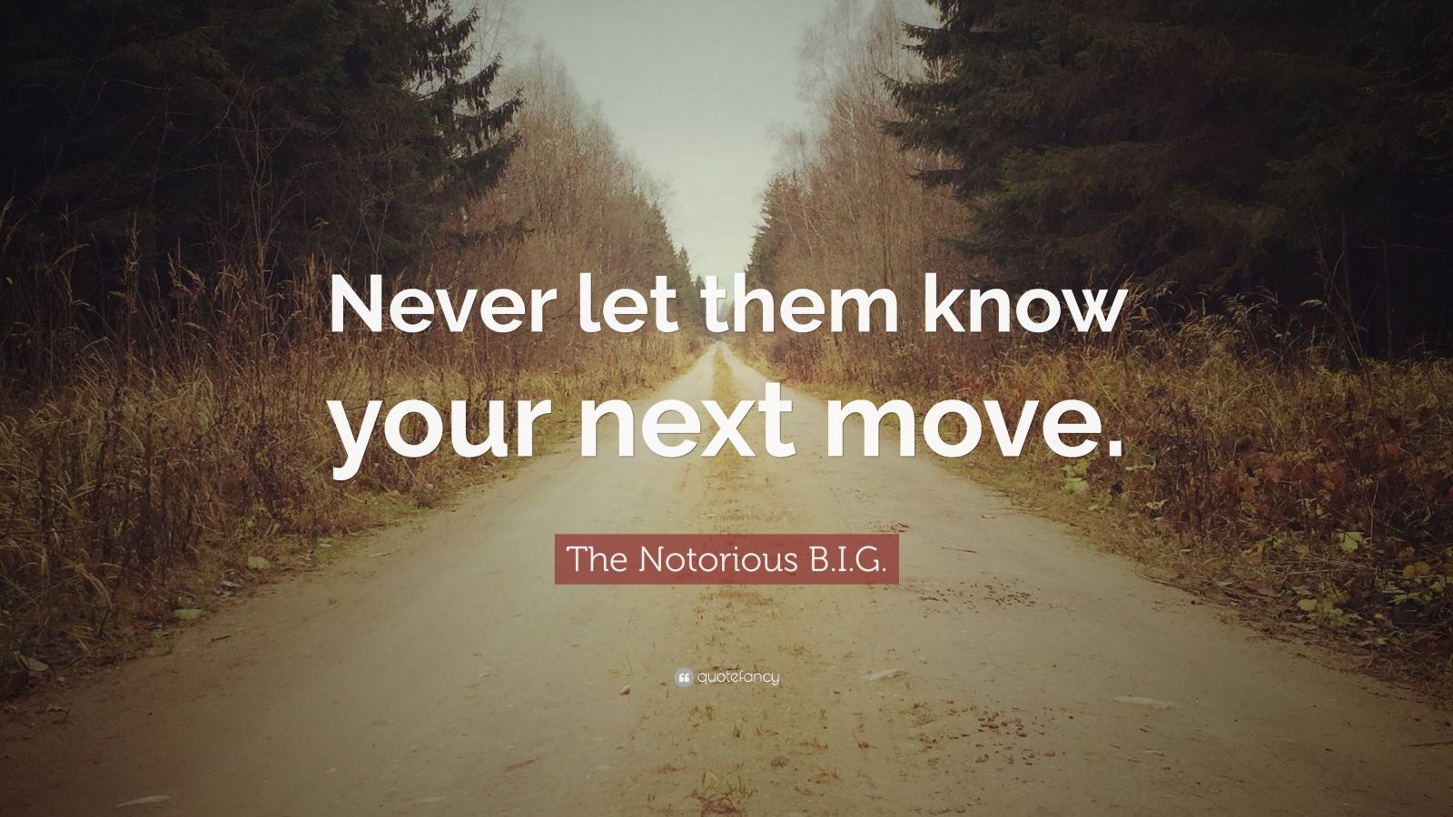 The Notorious B.I.G. Quote: “Never Let Them Know Your Next Move.” (10 ...