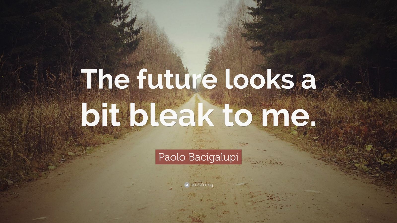 Paolo Bacigalupi Quote: “The future looks a bit bleak to me.” (7