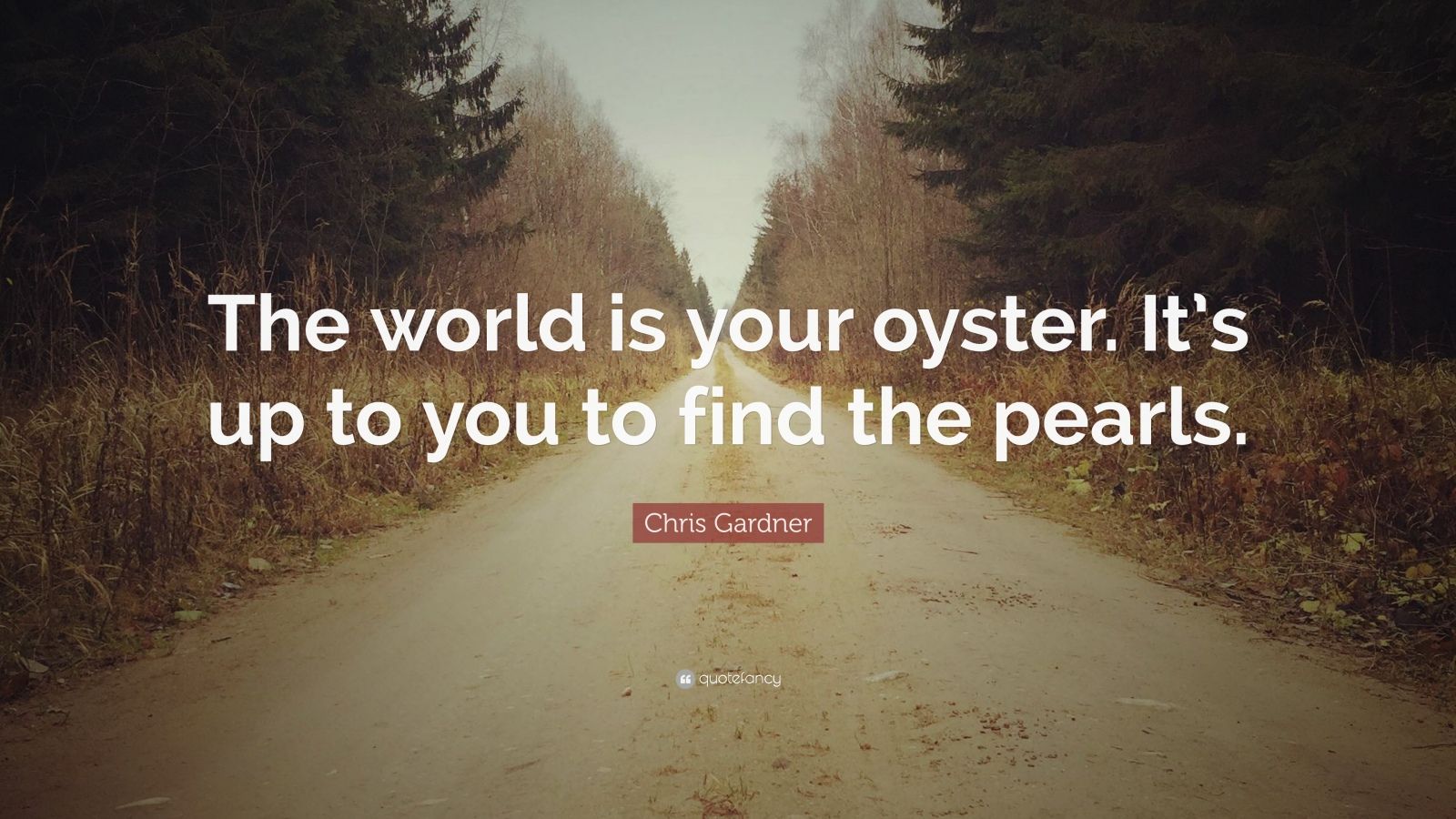 Chris Gardner Quote “The world is your oyster. It’s up to you to find